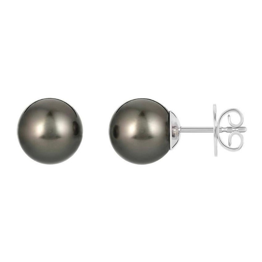 11 MM Tahitian Black Pearl Stud Earrings 14 Karat White Gold