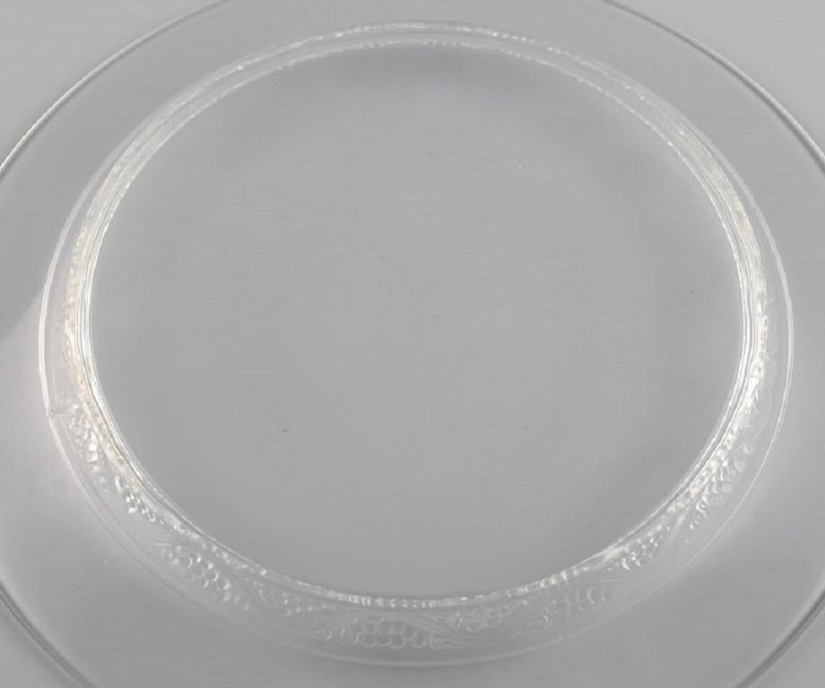 11 platos René Lalique Phalsbourg de vidrio artístico transparente con vides y uvas. Francés