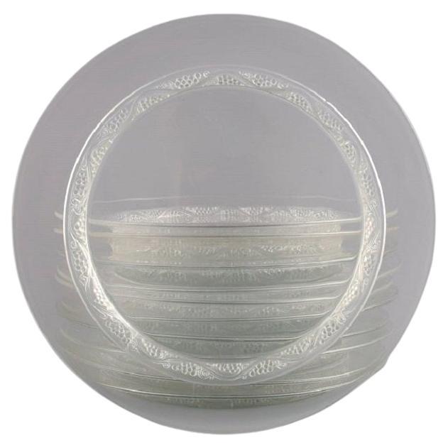 11 platos René Lalique Phalsbourg de vidrio artístico transparente con vides y uvas.