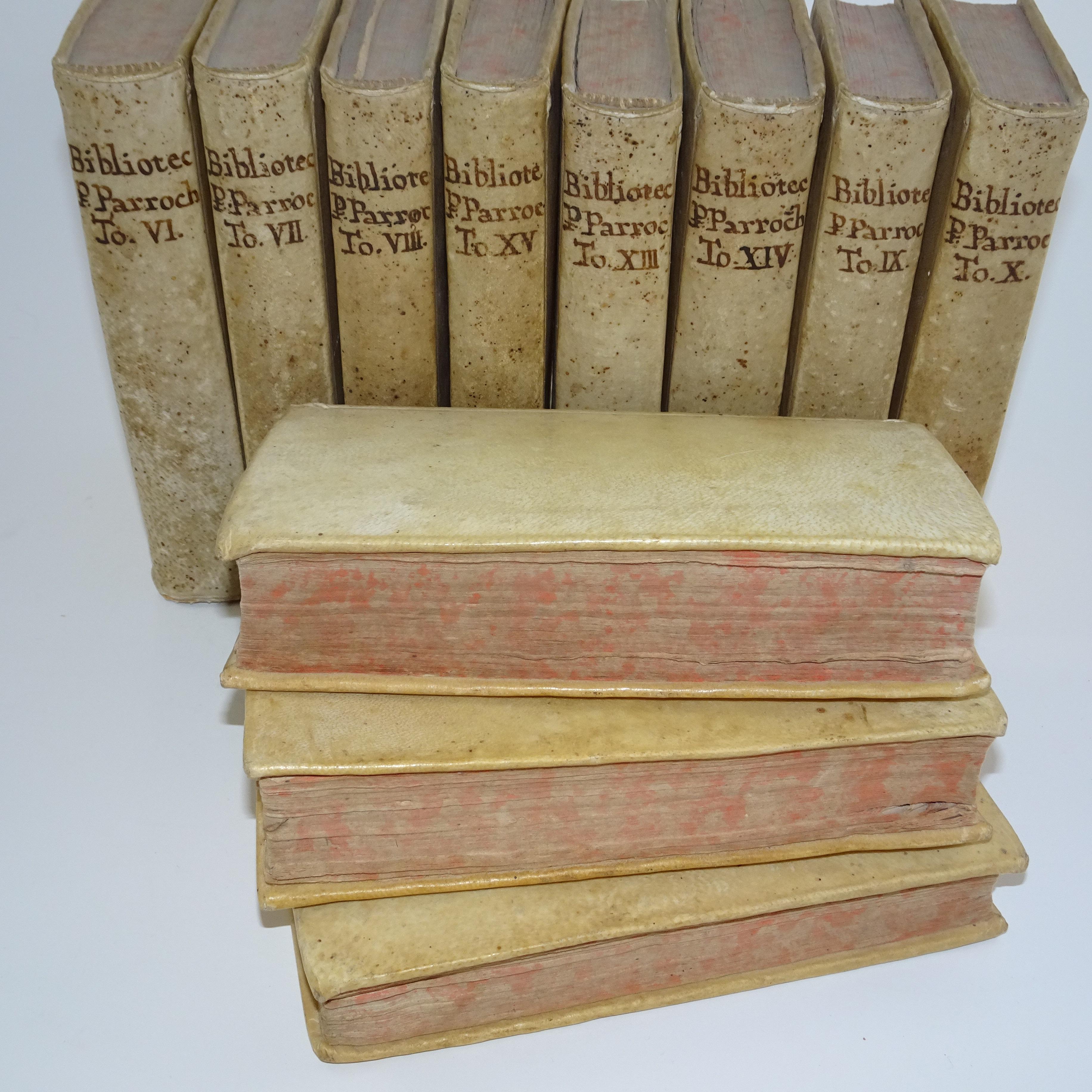 Animal Skin 11 Volumes of 18th Century Vellum Books For Sale