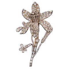 Broche de succession d'un diamant floral de 110 carats, c. 1820