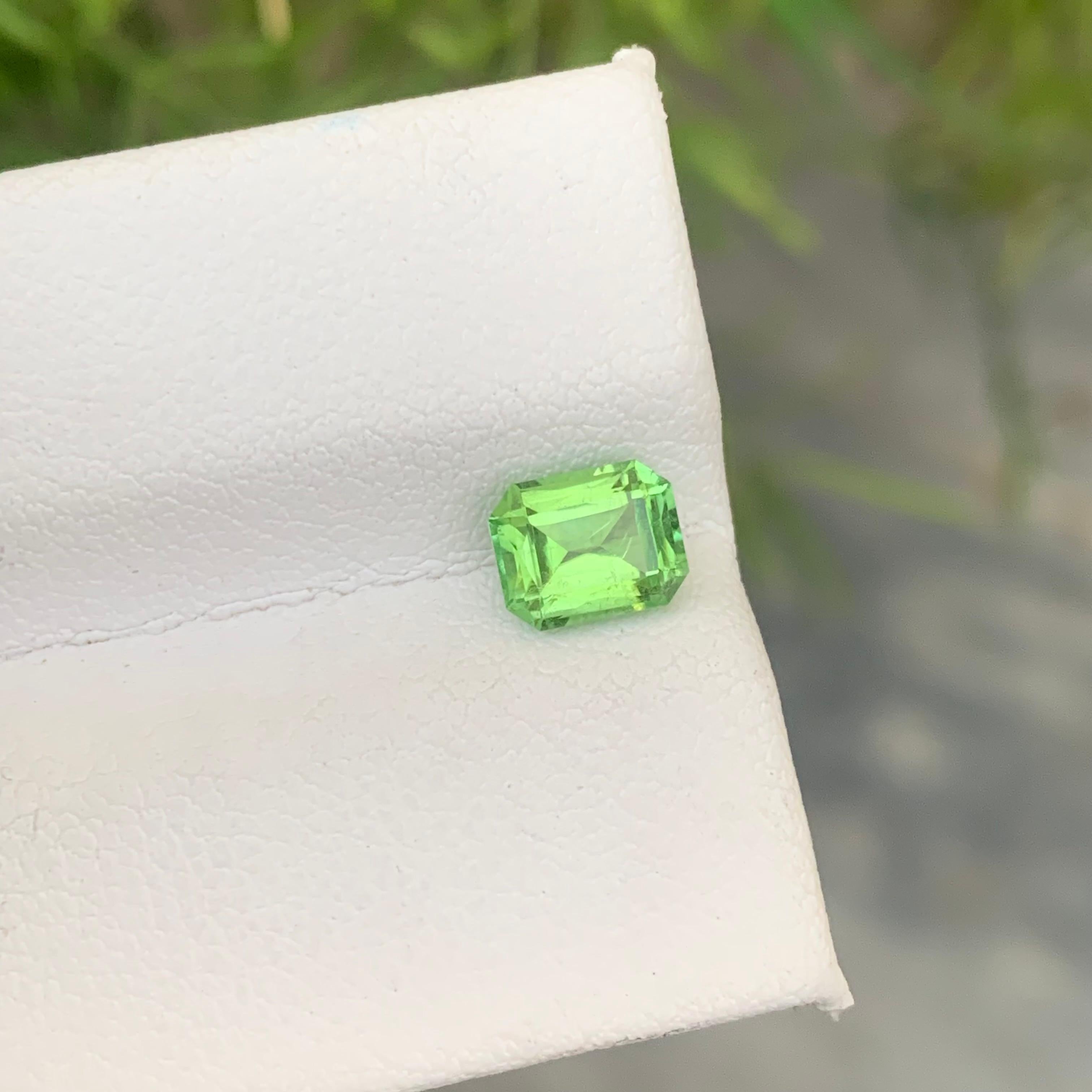 1.10 Carat Natural Loose Green Afghani Tourmaline Emerald Cut Gemstone for Ring For Sale 10