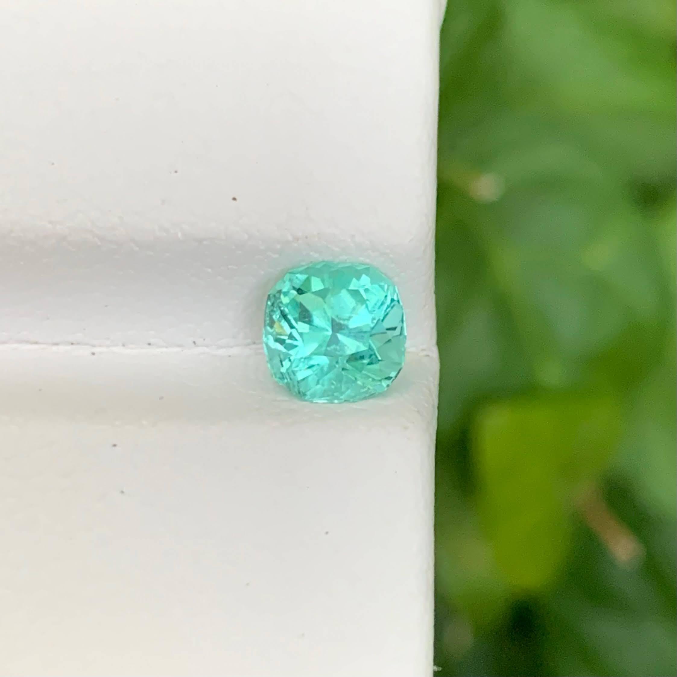 Poids 1,10 carat 
Dimensions 6,3x6,2x4,9 mm
Traitement Aucun
Origine afghane 
Clarté VVS 
Forme Coupe Coussin 




Découvrez l'éclat de cette tourmaline de couleur Paraiba de 1,10 carat, magnifiquement taillée en coussin pour maximiser la brillance,