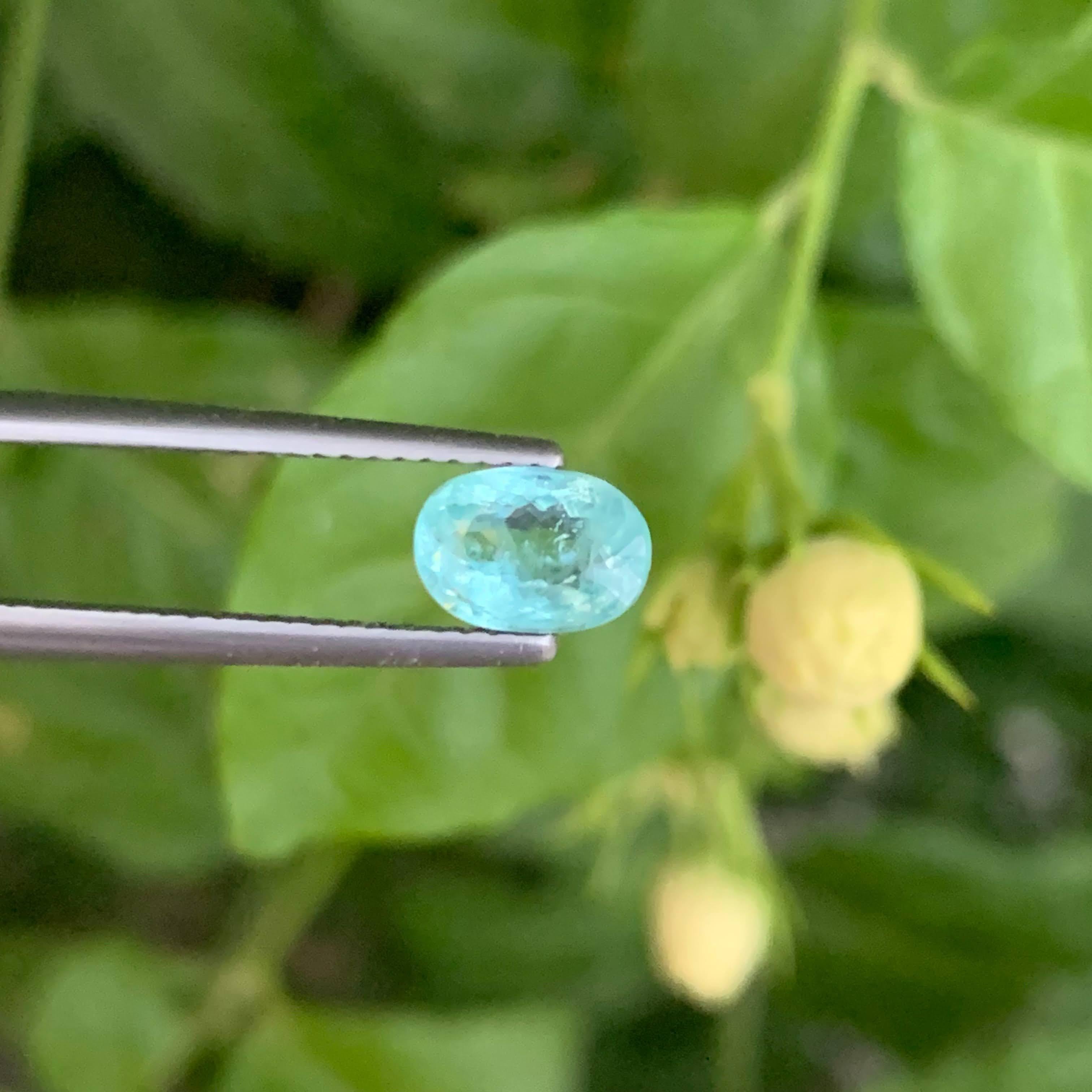 1.10 carati di tormalina Paraiba naturale sciolta con taglio ovale dal Mozambico in vendita 5