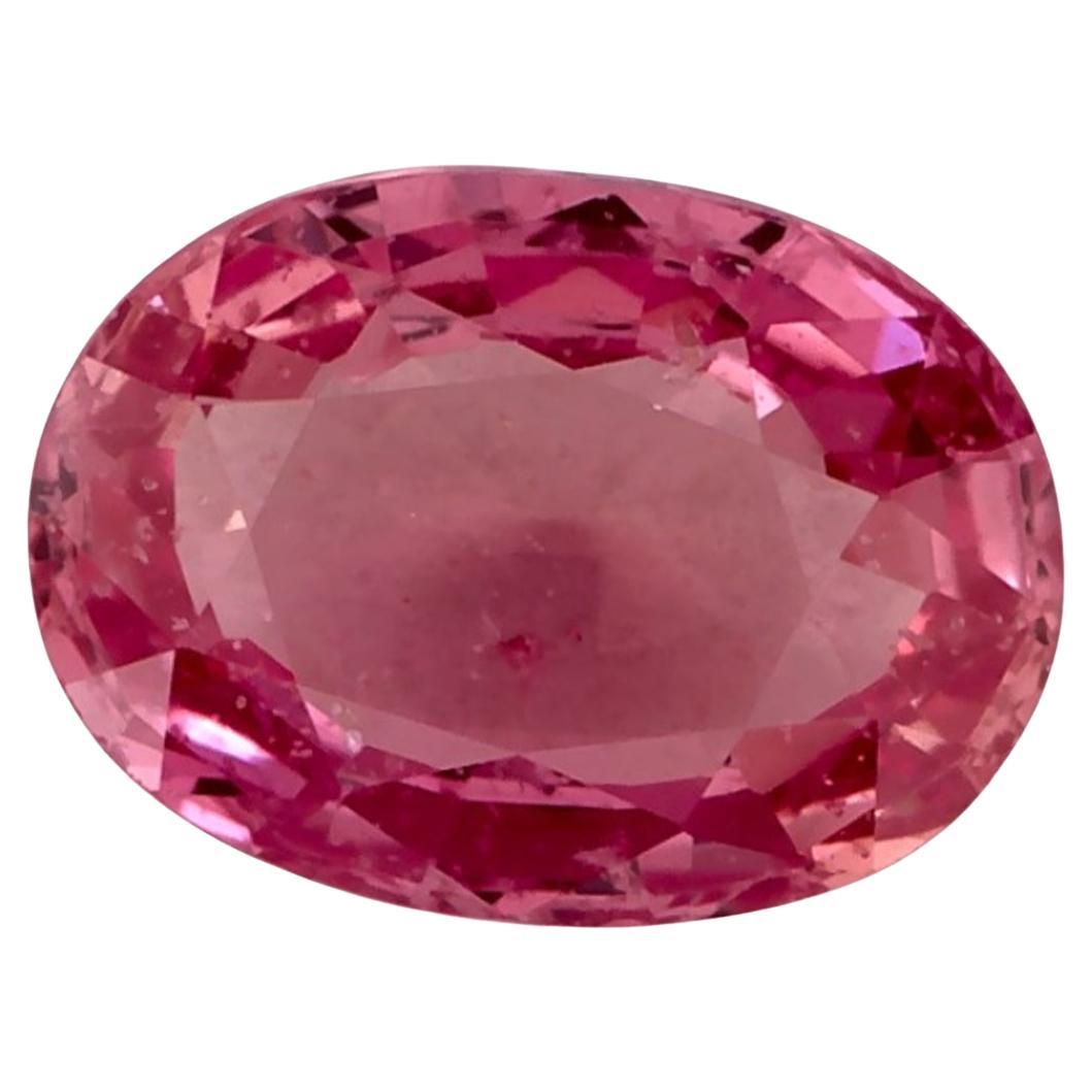 1.10 Ct Pink Sapphire Oval Loose Gemstone (pierre précieuse en vrac)