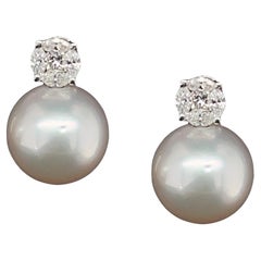 White South Sea Pearl, .42 Carat Total Diamond, White Gold Drop Earrings