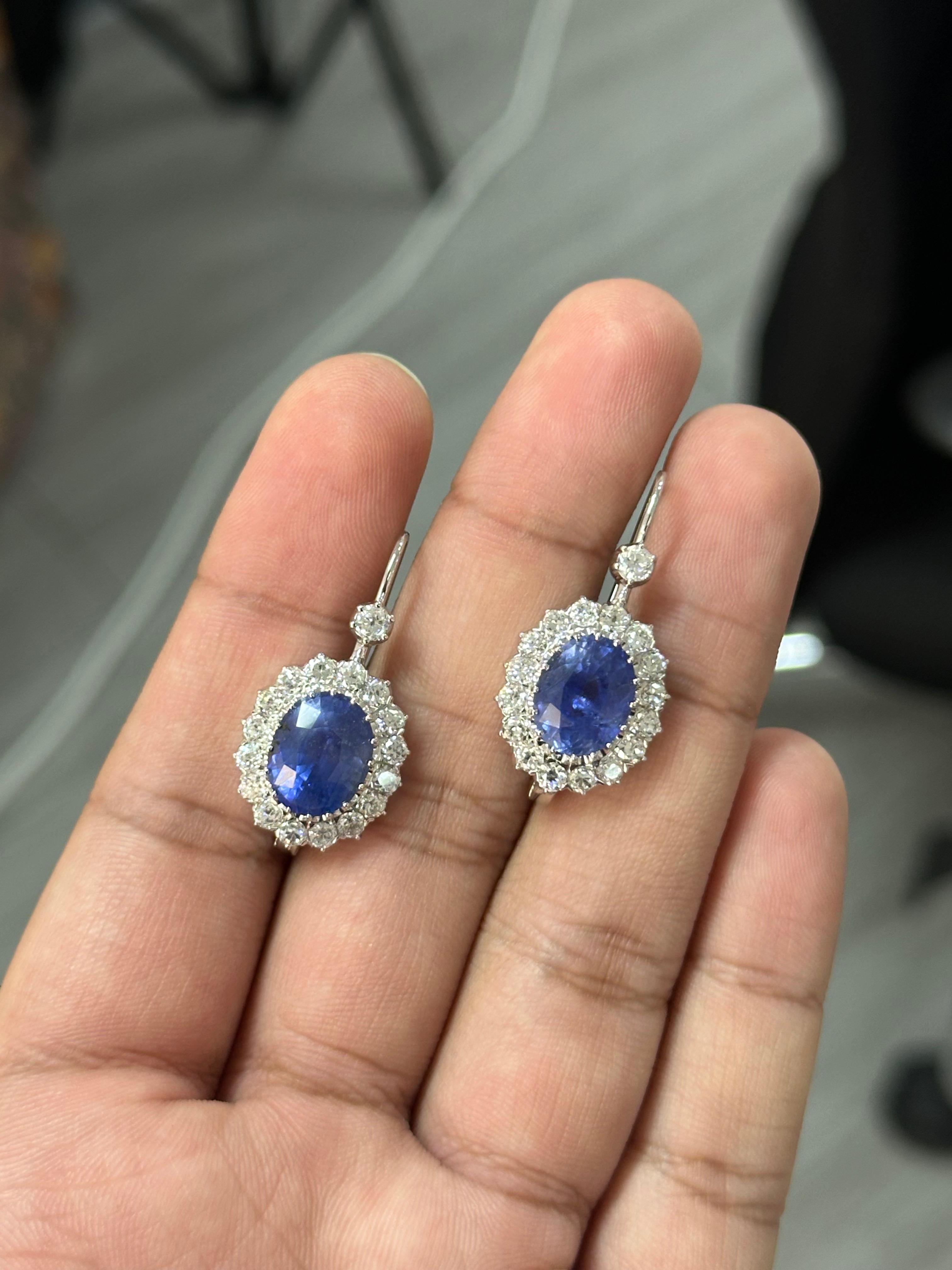 Sophistiquées, audacieuses et intemporelles, ces boucles d'oreilles en saphir et diamant sont l'incarnation du luxe raffiné.
Présentant un total de 11,03 carats de saphirs aux teintes riches, le modèle capture la profondeur et l'attrait de cette