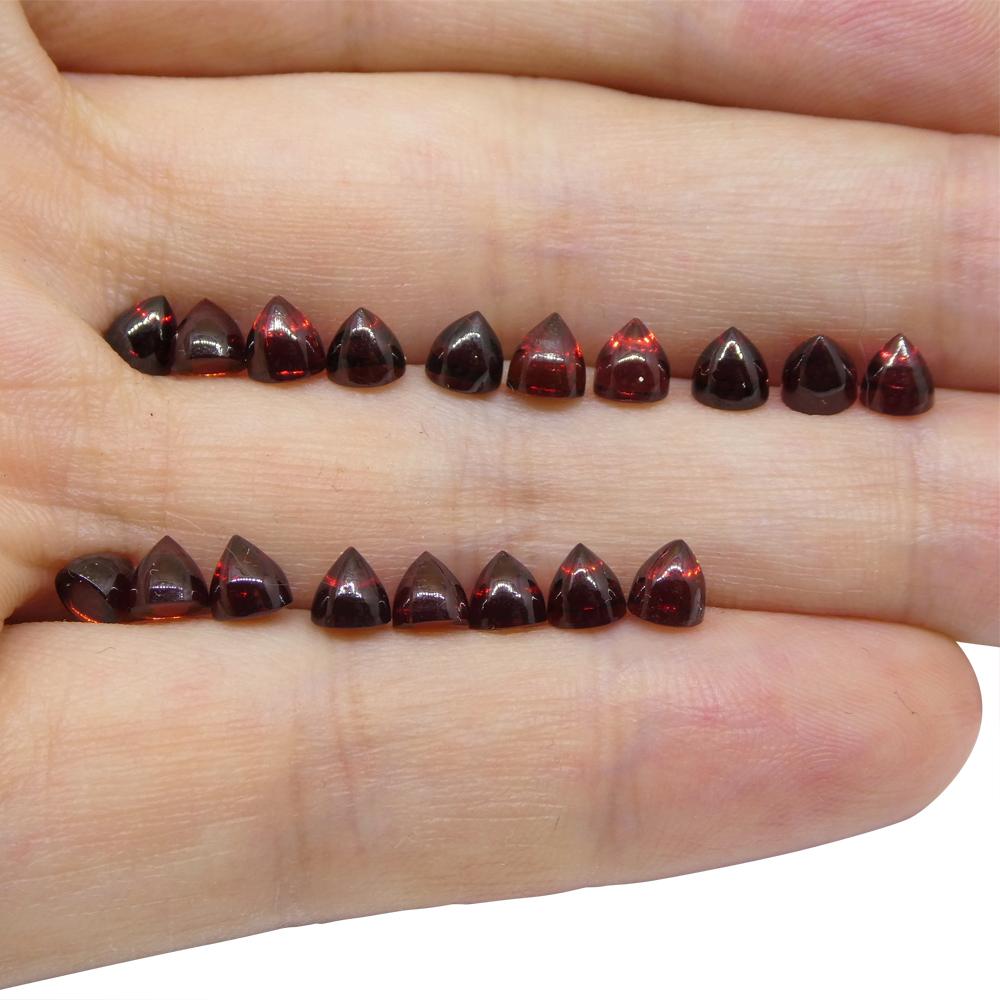 Description:

Gem Type: Rhodolite Garnet
Number of Stones: 18
Weight: 11.07 cts
Measurements: 4.00 - 4.00 x 4.00 mm
Shape: Round Bullet
Cutting Style Crown: Bullet
Cutting Style Pavilion: Flat
Transparency: Transparent
Clarity: Very Very Slightly