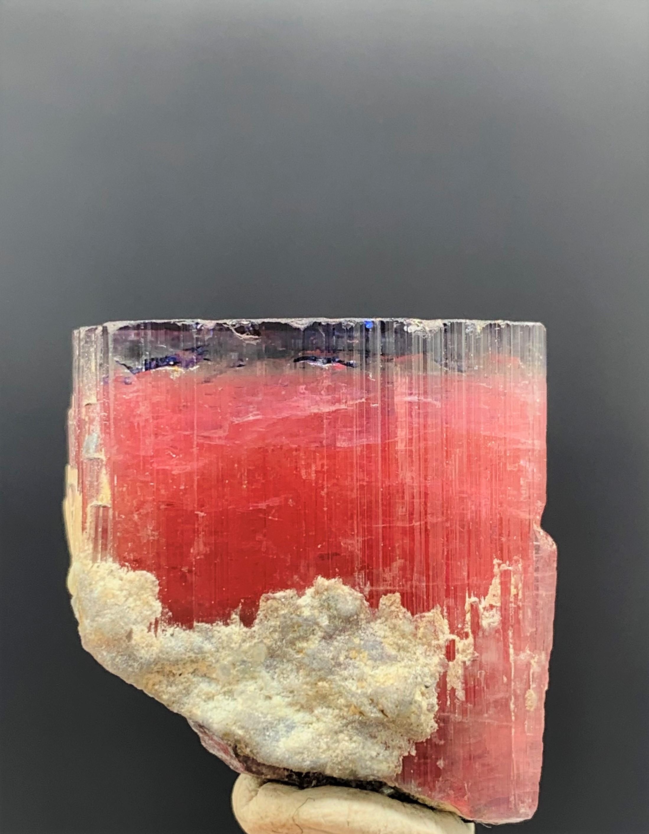 Adam Style 110.85 Carat Lovely Bi Color Tourmaline from Kunar Afghanistan For Sale