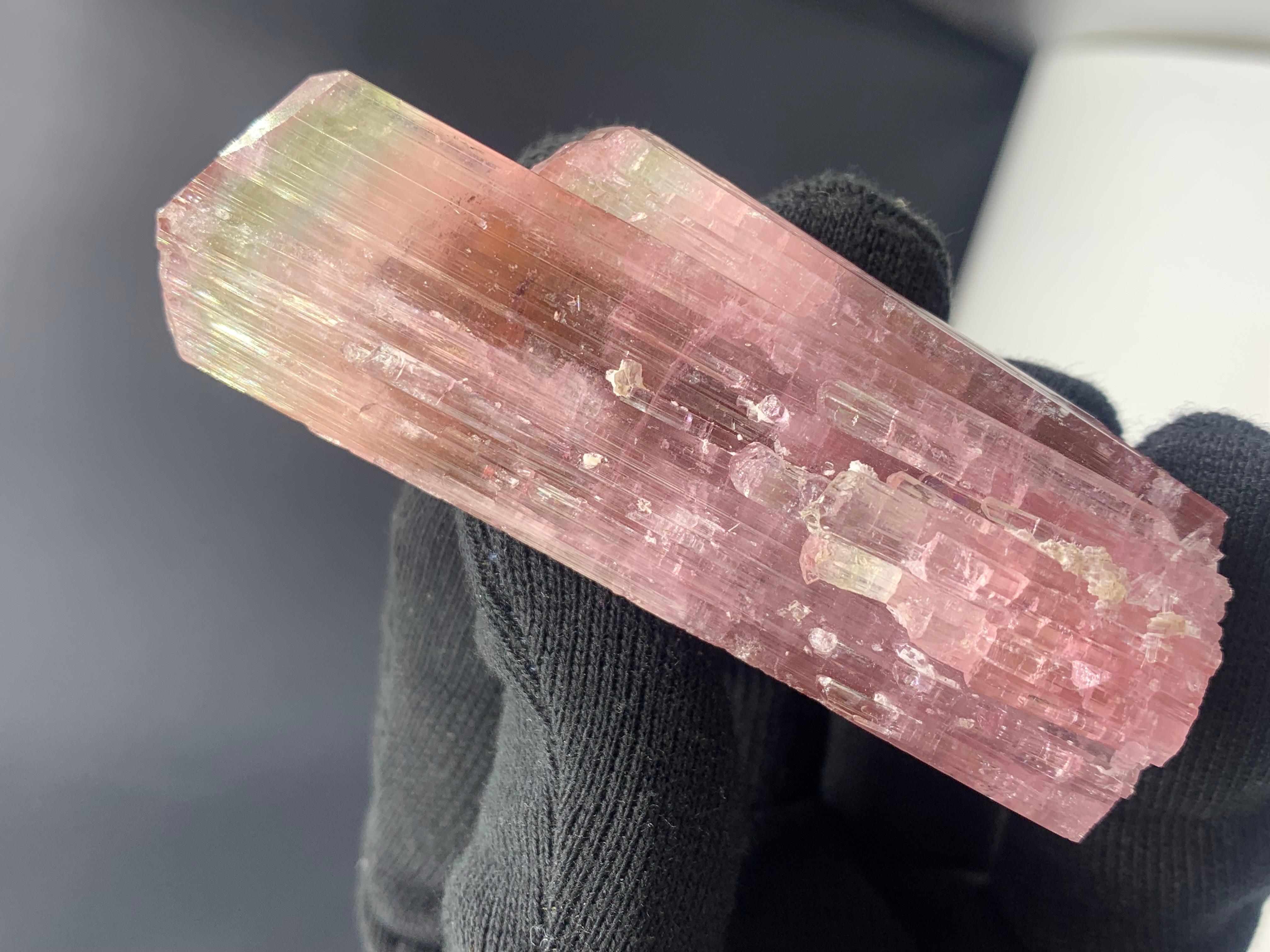 111.33 Gram Stunning Bi Color Tourmaline Crystal from Afghanistan In Good Condition For Sale In Peshawar, PK