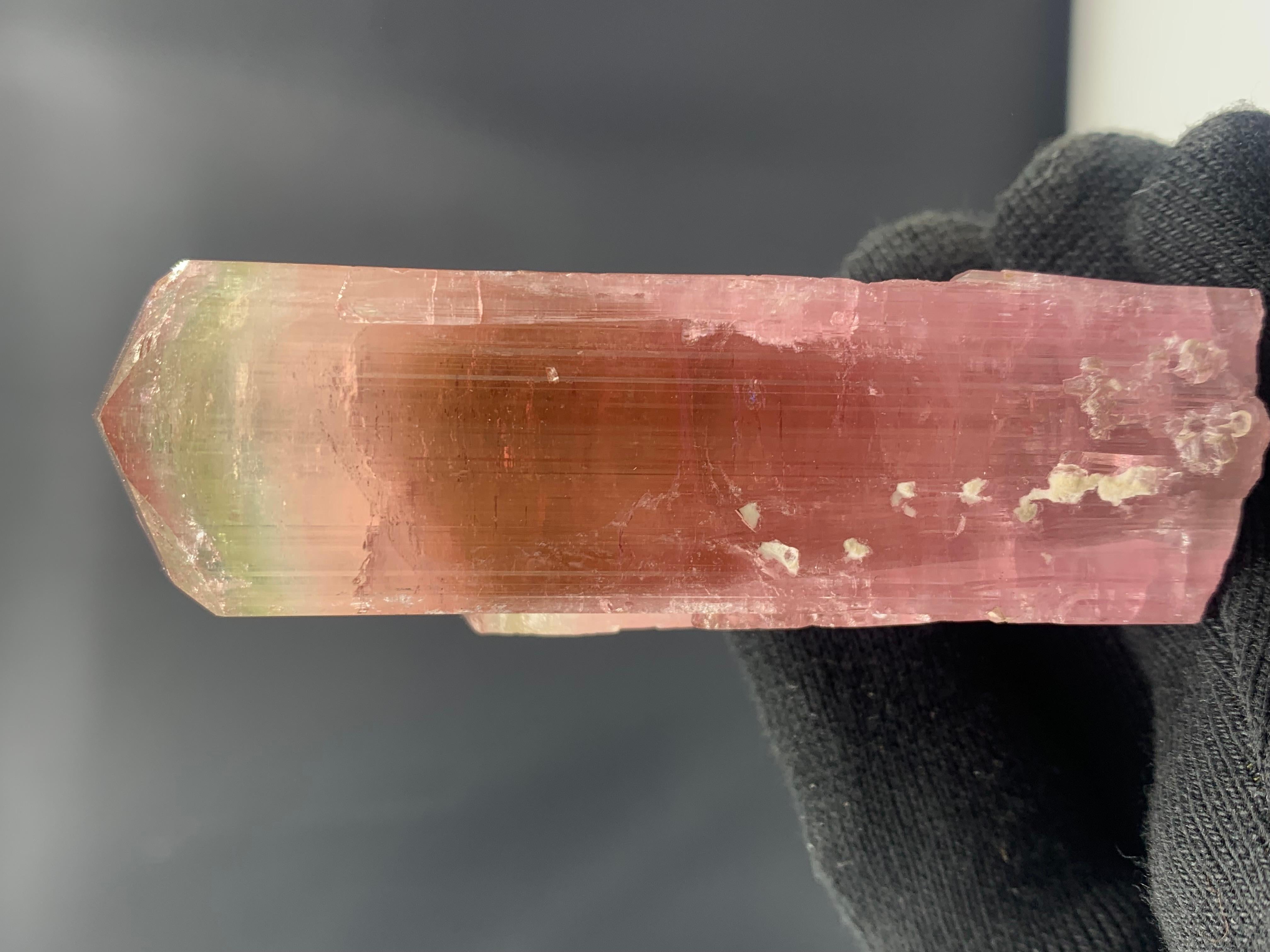 Cristal de roche Superbe cristal de tourmaline bicolore d'Afghanistan de 111,33 grammes en vente