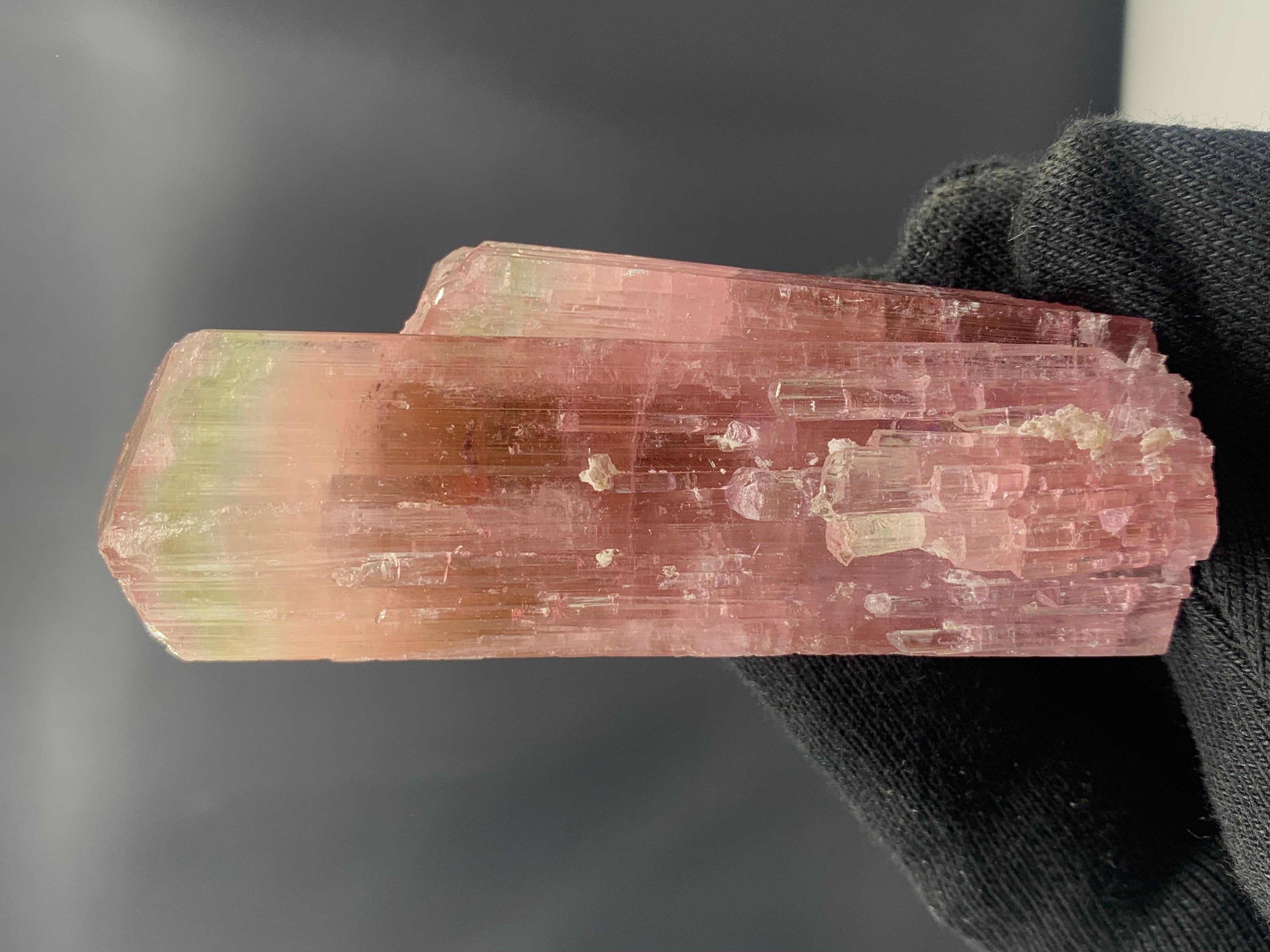 111.33 Gram Stunning Bi Color Tourmaline Crystal from Afghanistan For Sale 1