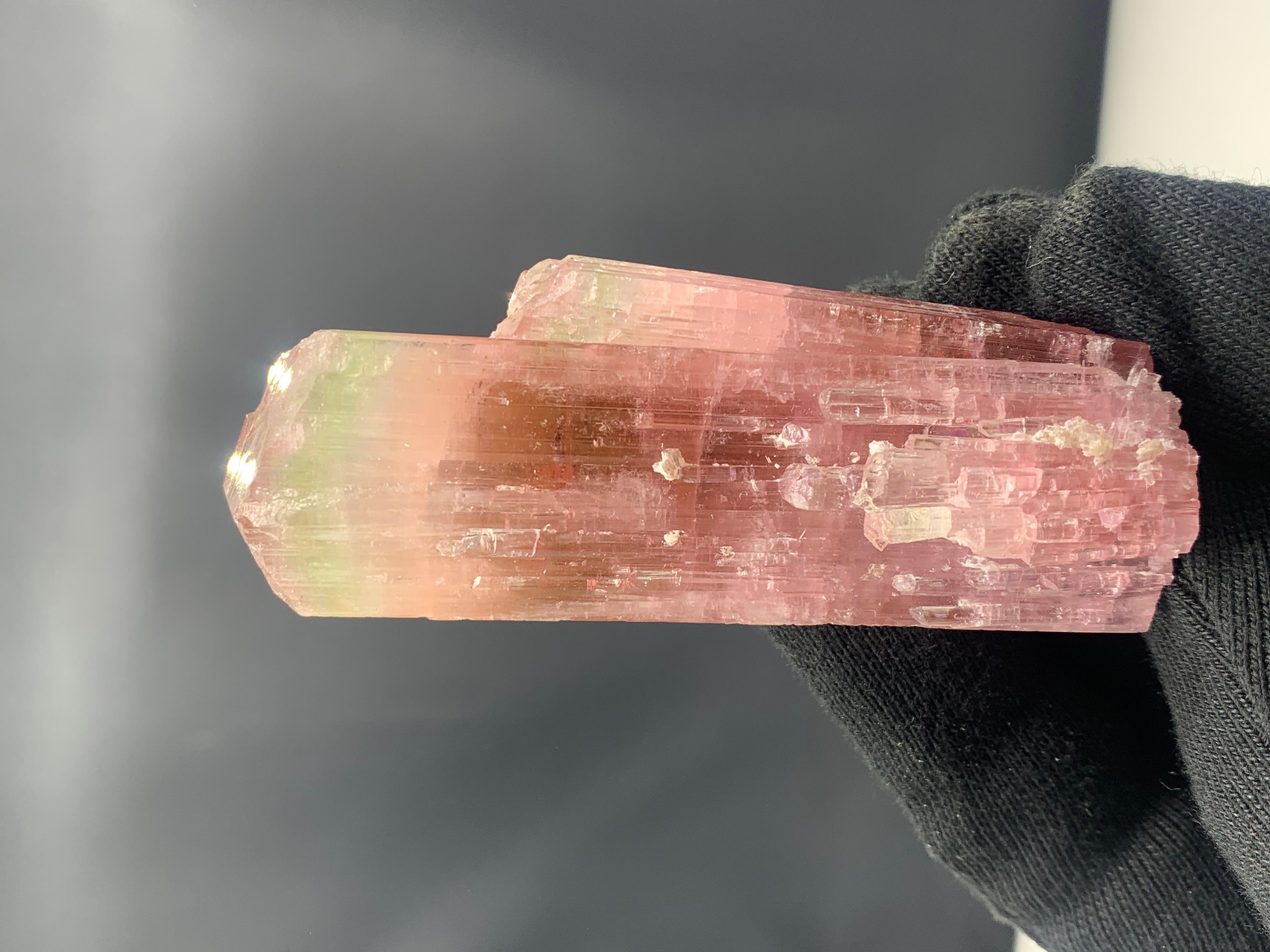 111.33 Gram Stunning Bi Color Tourmaline Crystal from Afghanistan For Sale 2