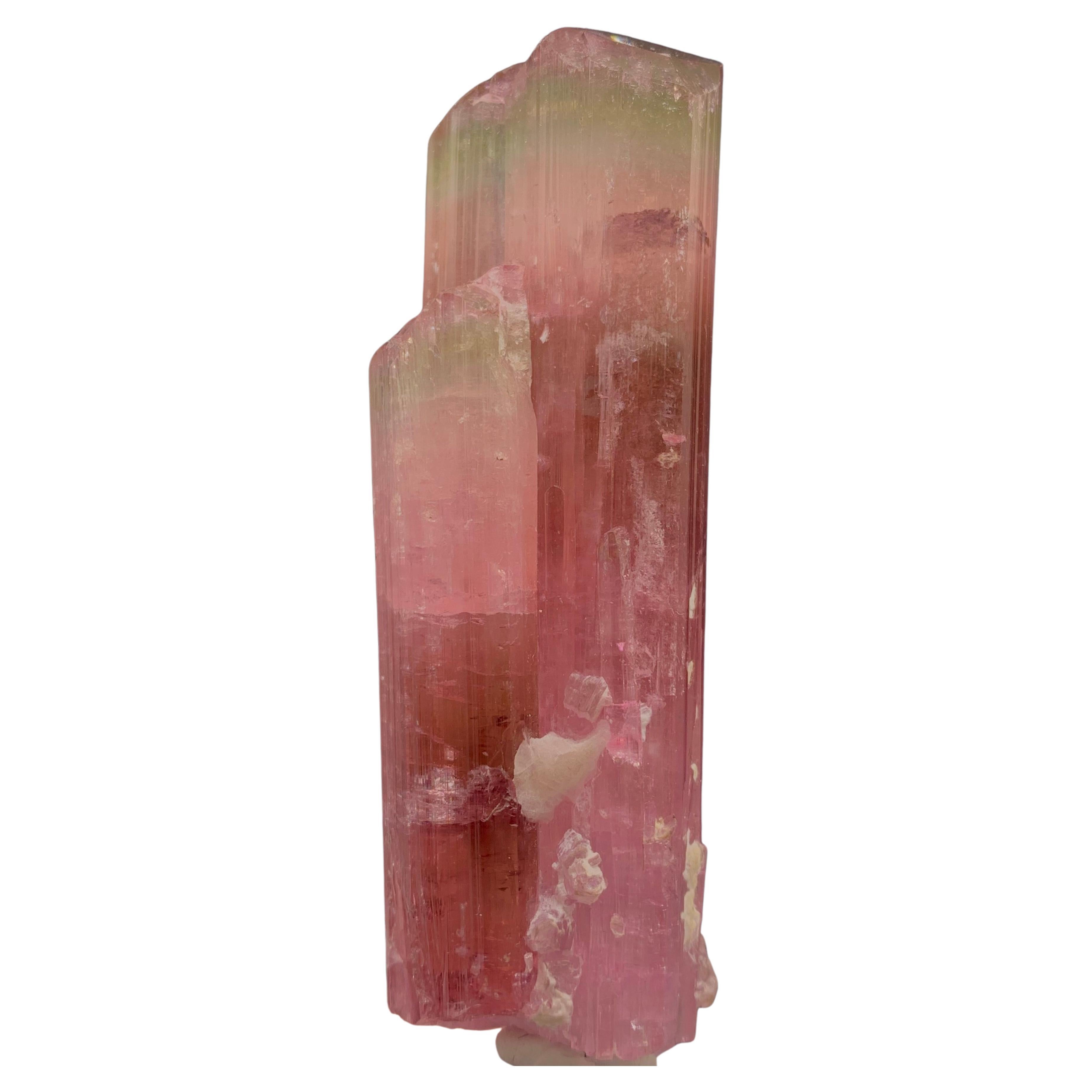Superbe cristal de tourmaline bicolore d'Afghanistan de 111,33 grammes