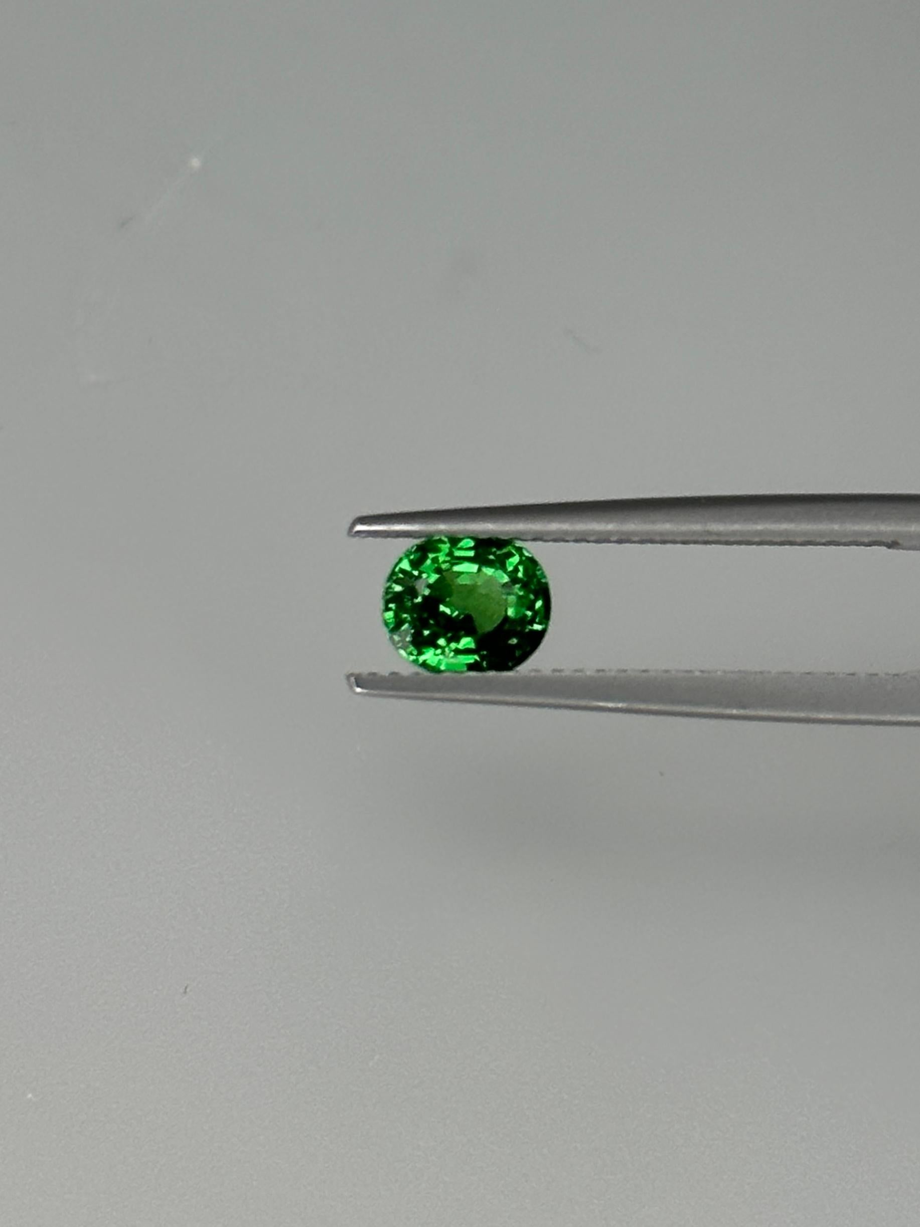 Ein überzeugender 1,12 ovaler Tsavorit im Mischschliff in intensivem Grün.

Gewicht: 1,12 Karat
Die Form: Oval
Die Krone: Modifizierter Brillant
Pavillon: Schritt
Edelstein Abmessungen: 6,44 x 5,55 x 3,95 mm
Farbe: Grün

Edelstein-Typ: