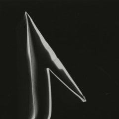 Chicago (62-35-29-3)