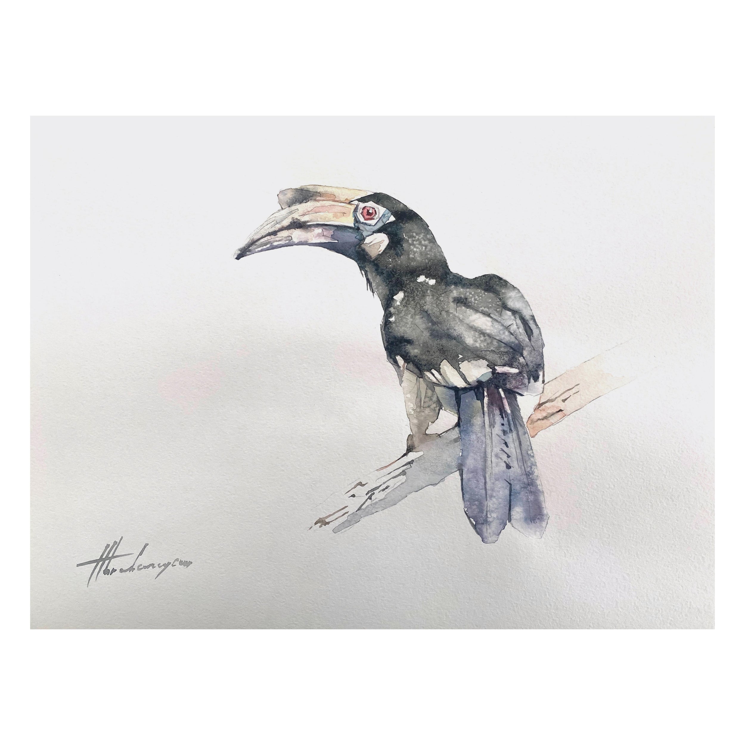 Hornbill, aquarelle d'art faite à la main, unique en son genre