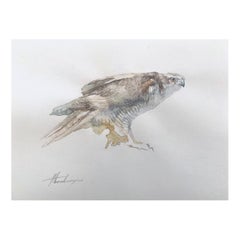 Sparrow-hawk, Bird, Watercolor Art Handmade Painting