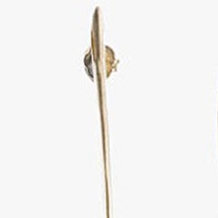 Gold Eve Earring
