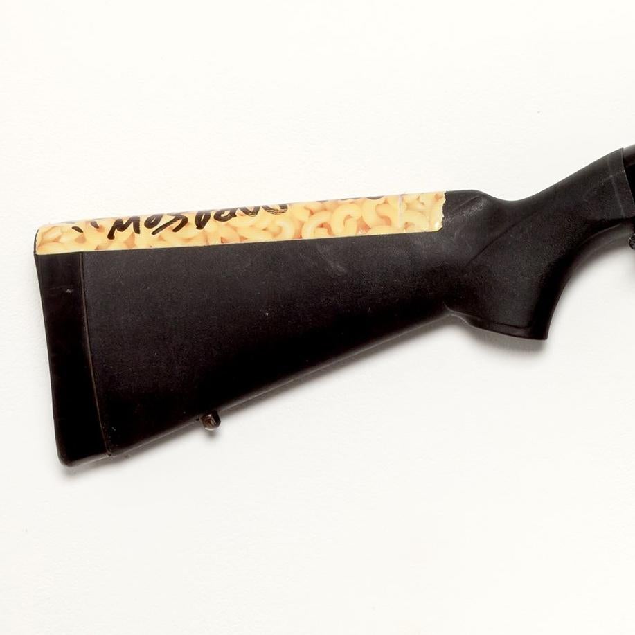 mezzo: Fucile Mossberg 500, bong, nastro adesivo

Skylar Fein è nata nel Greenwich Village e cresciuta nel Bronx. Ha avuto molte carriere, tra cui l'insegnamento della resistenza non violenta sotto l'ombrello dei Quaccheri, ha lavorato per un