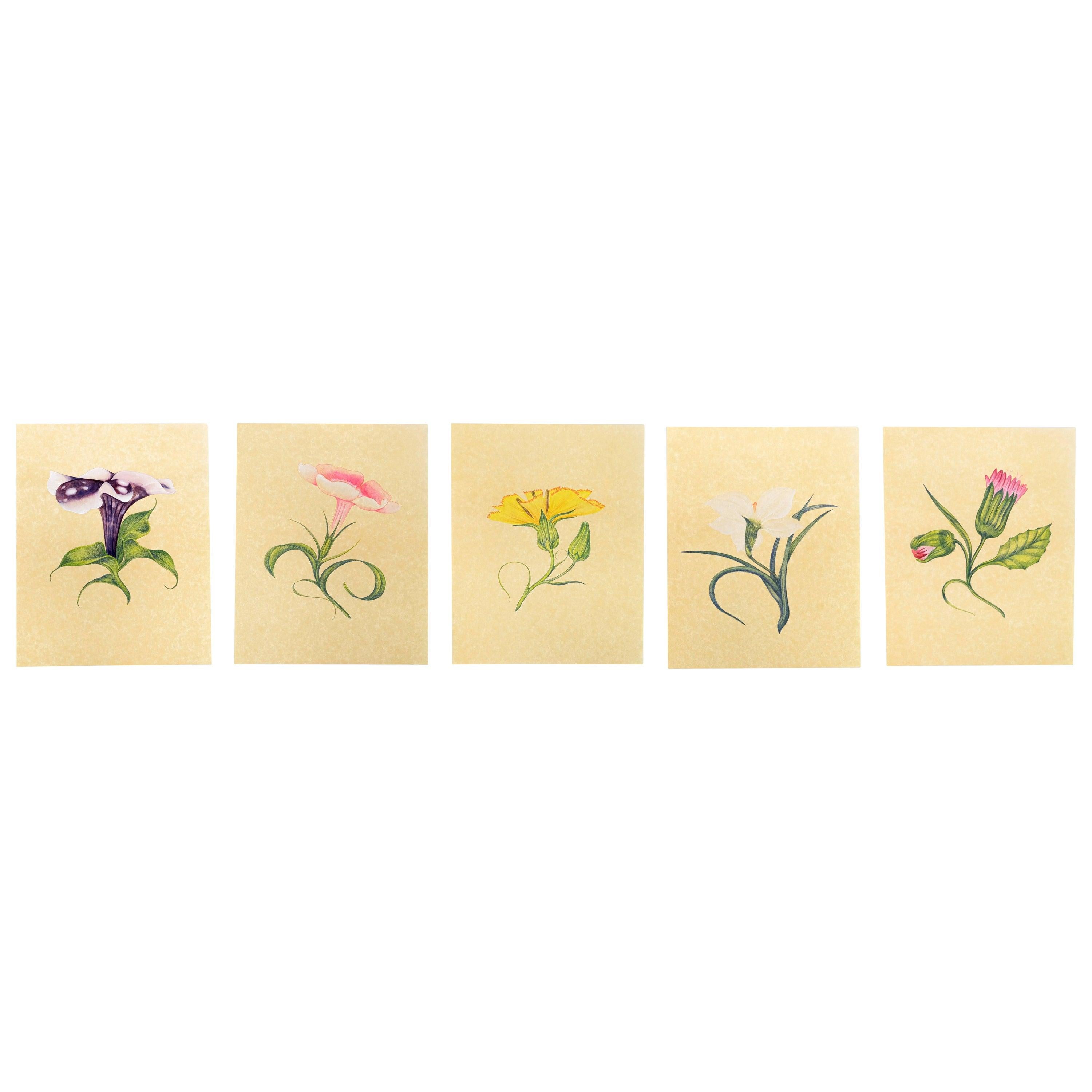 Set of 5 Watercolor on Paper Flowers For Sale 3