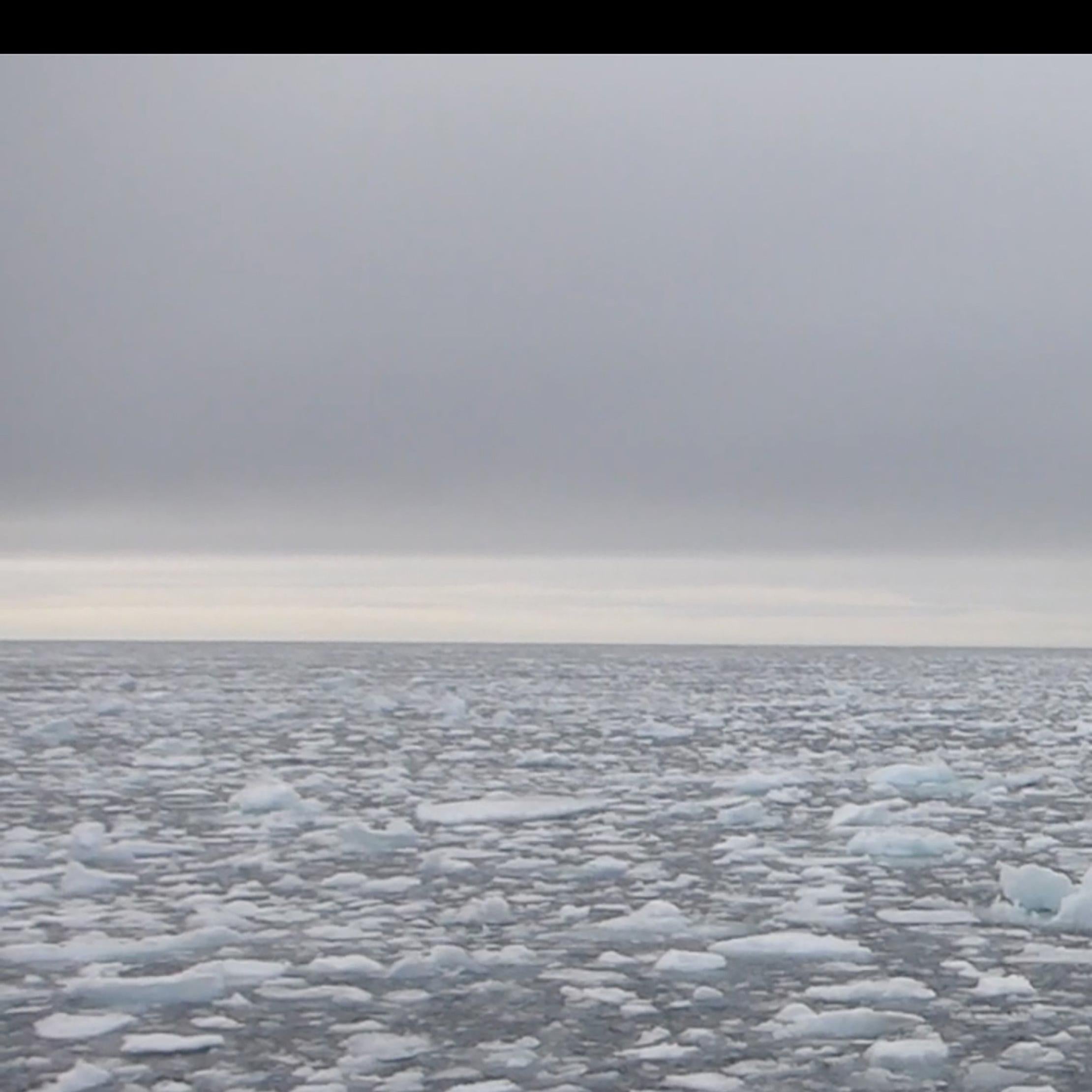 Fritz Horstman, « Ice Voices », 2016, Vidéo en vente 1