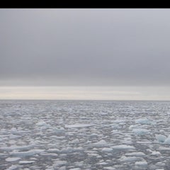 Fritz Horstman, Ice Voices, 2016, Video