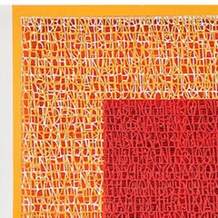 Che cos'è un'immagine? I