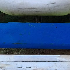 Quinquerimi with Blue