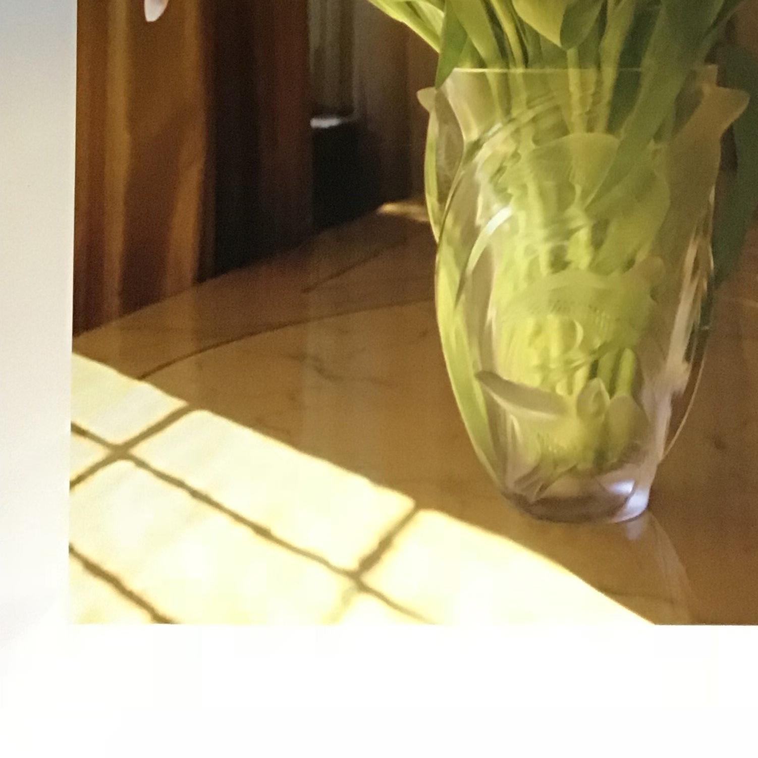 signed enhanced photographic print 2010 whimsical and beautiful soft light still life of flowers in a vase unframed