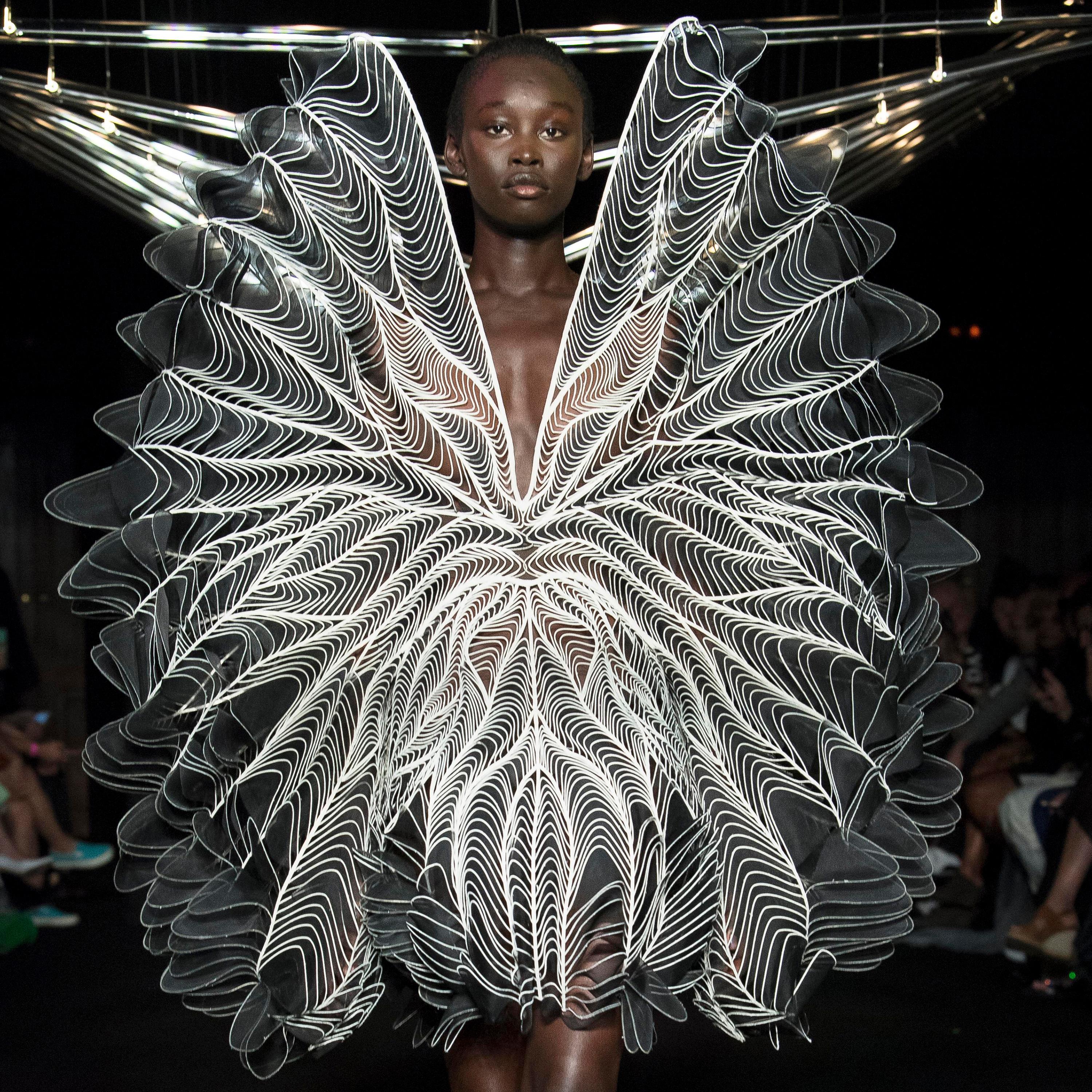 iris van herpen dress price