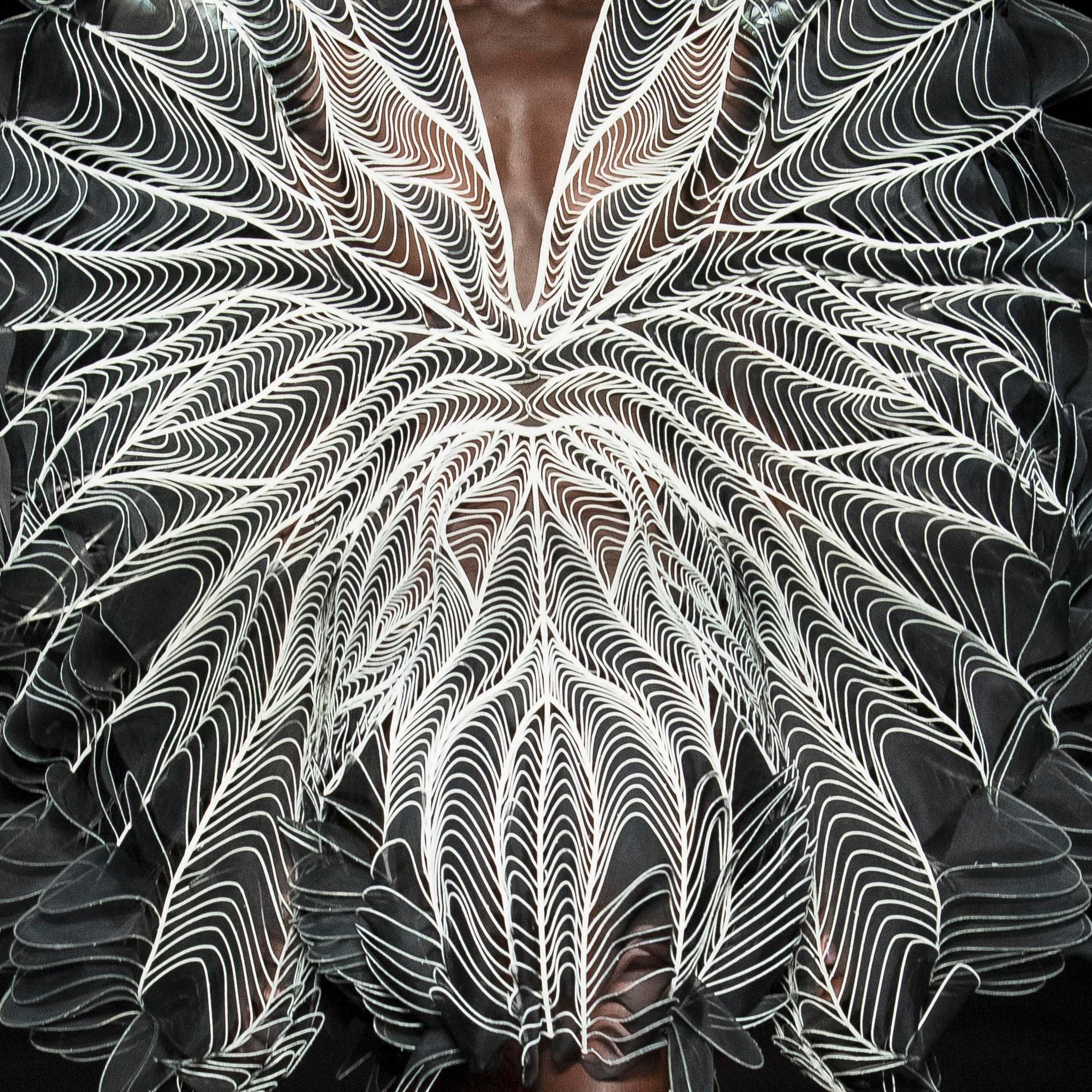 iris van herpen dress cost