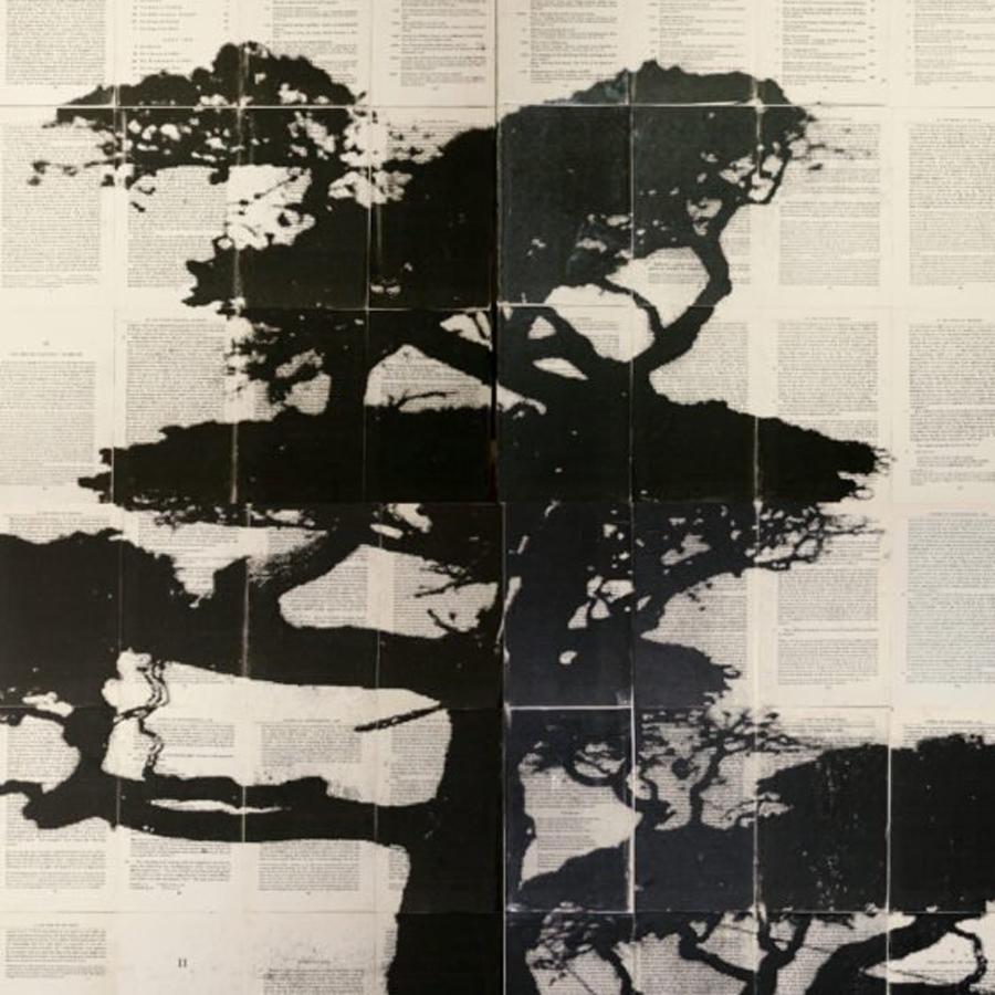 Mike Saijo, Cypress, Encaustic on Toner on Book Pages  1