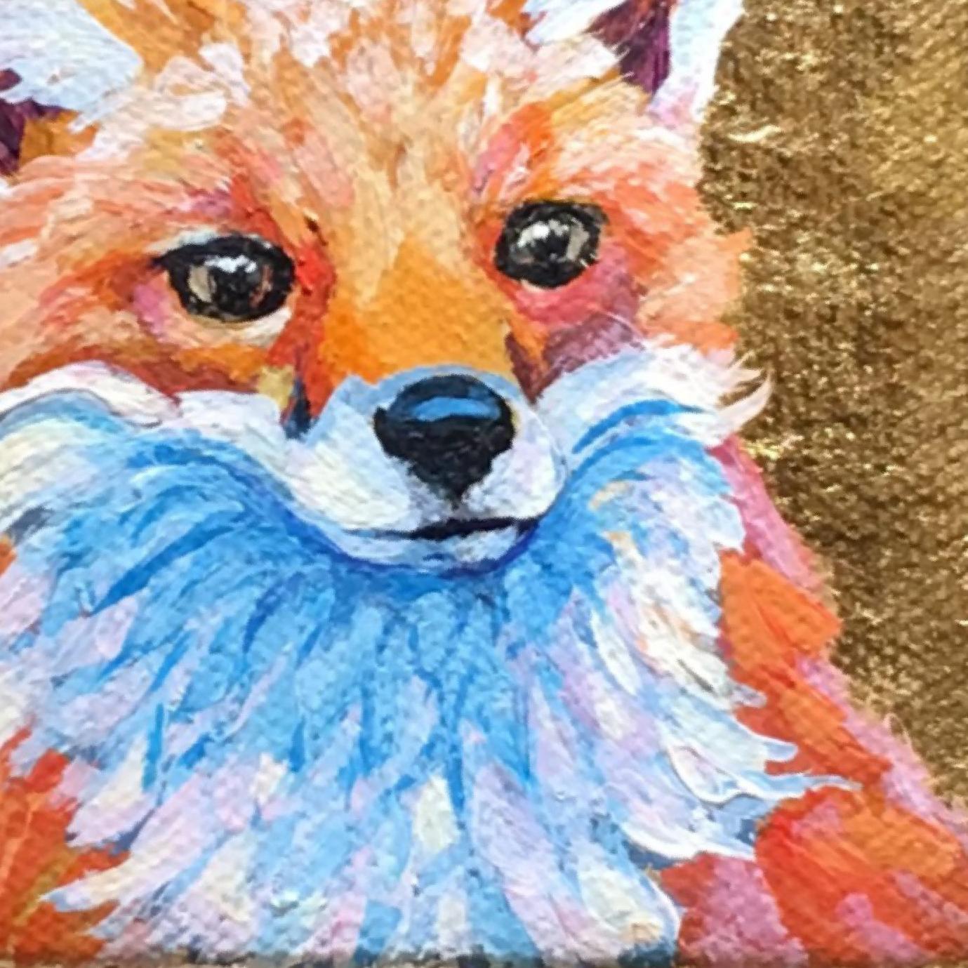 Red Fox Curious 1