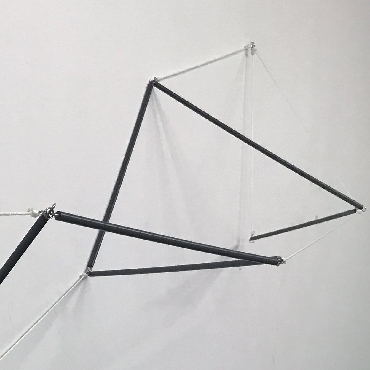 Flipside, 2018, cordon en polyester, tige en PVC, acier inoxydable, 96 x 42,5 x 17,5 pouces - Minimaliste Sculpture par Daniel G. Hill