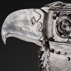 Original recycled steel sculpture by Peter McFarlane  HAWK EYE