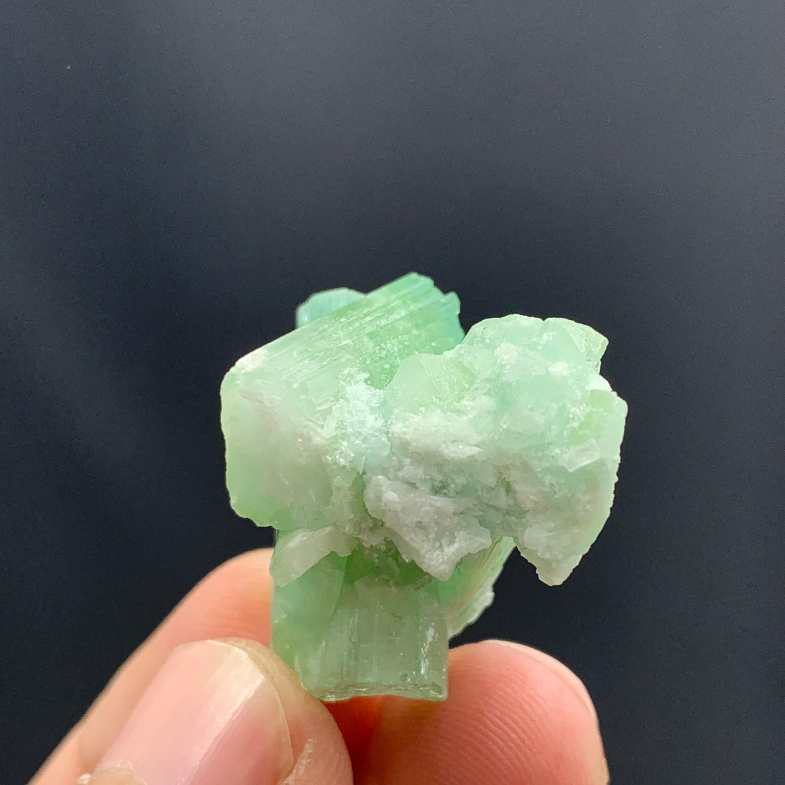 11.22 Gram Green Tourmaline Crystal Cluster From Kunar, Afghanistan  For Sale 3