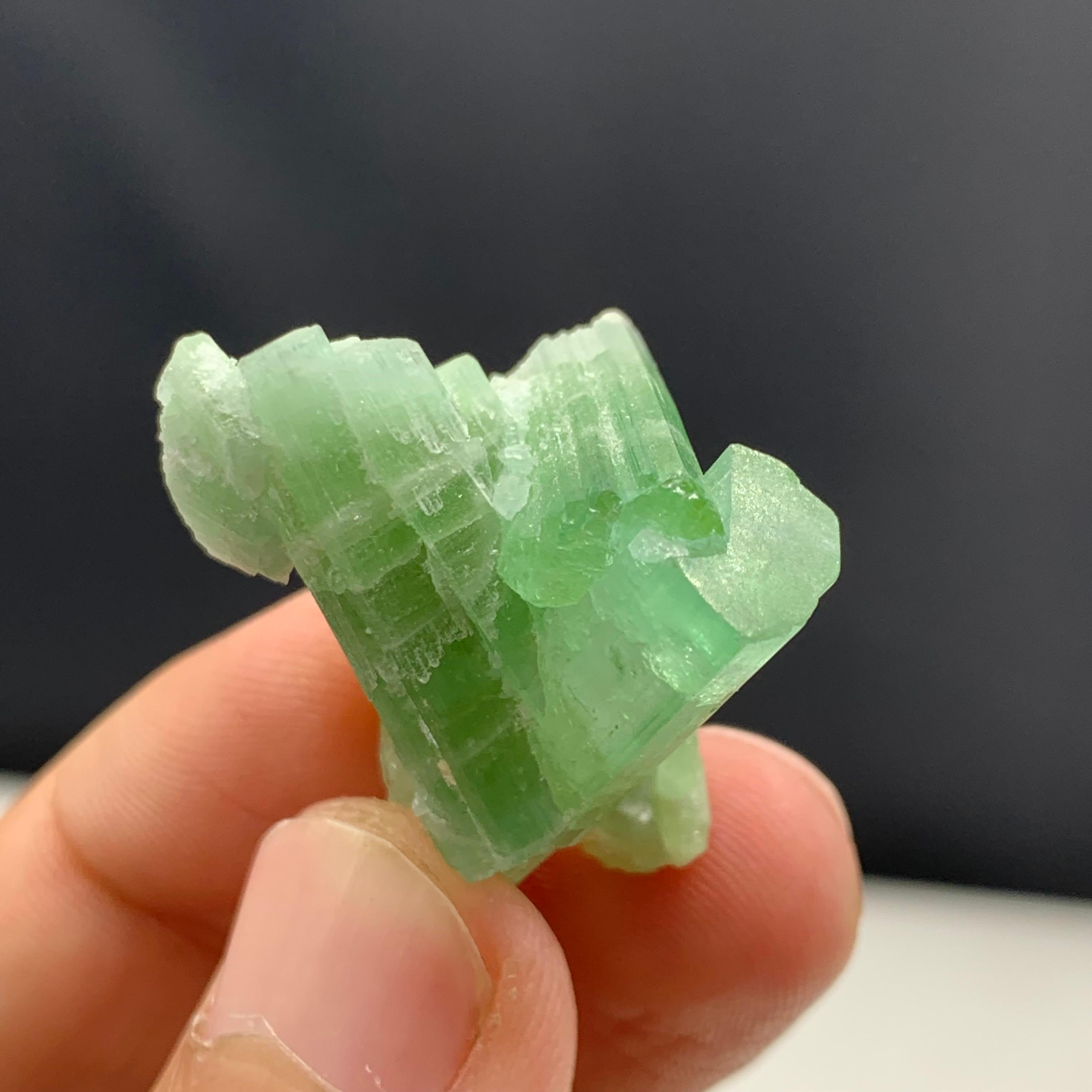11.22 Gram Green Tourmaline Crystal Cluster From Kunar, Afghanistan 

Weight: 11.22 Gram
Dimension: 2.5 x 3.1 x 1.7 Cm
Origin: kunar, Afghanistan 

Tourmaline is a crystalline silicate mineral group in which boron is compounded with elements such as