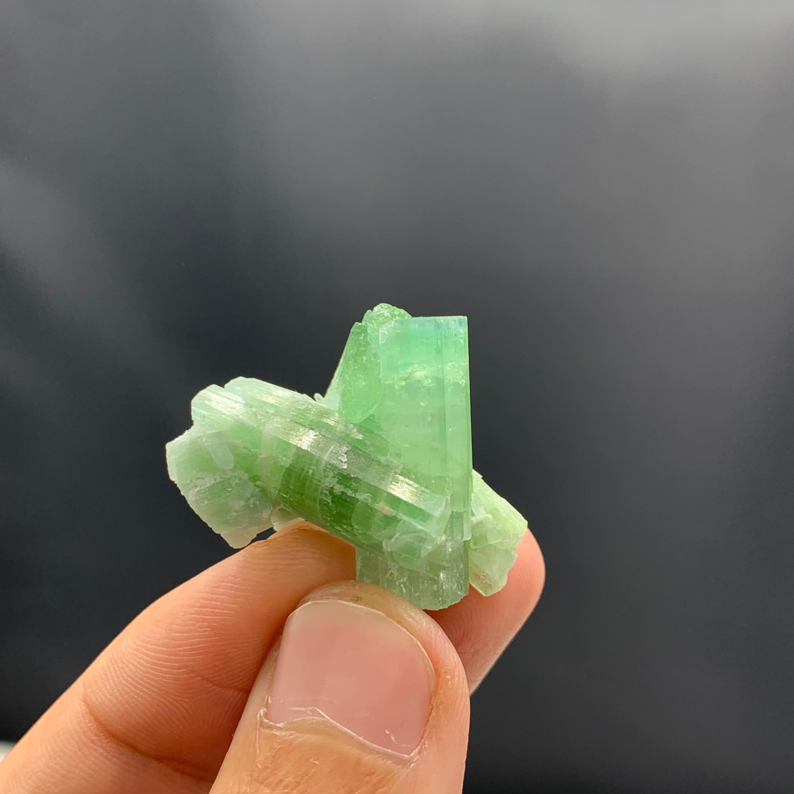 Cristal de roche Poudrier de tourmaline verte de Kunar, Afghanistan, 11,22 grammes  en vente