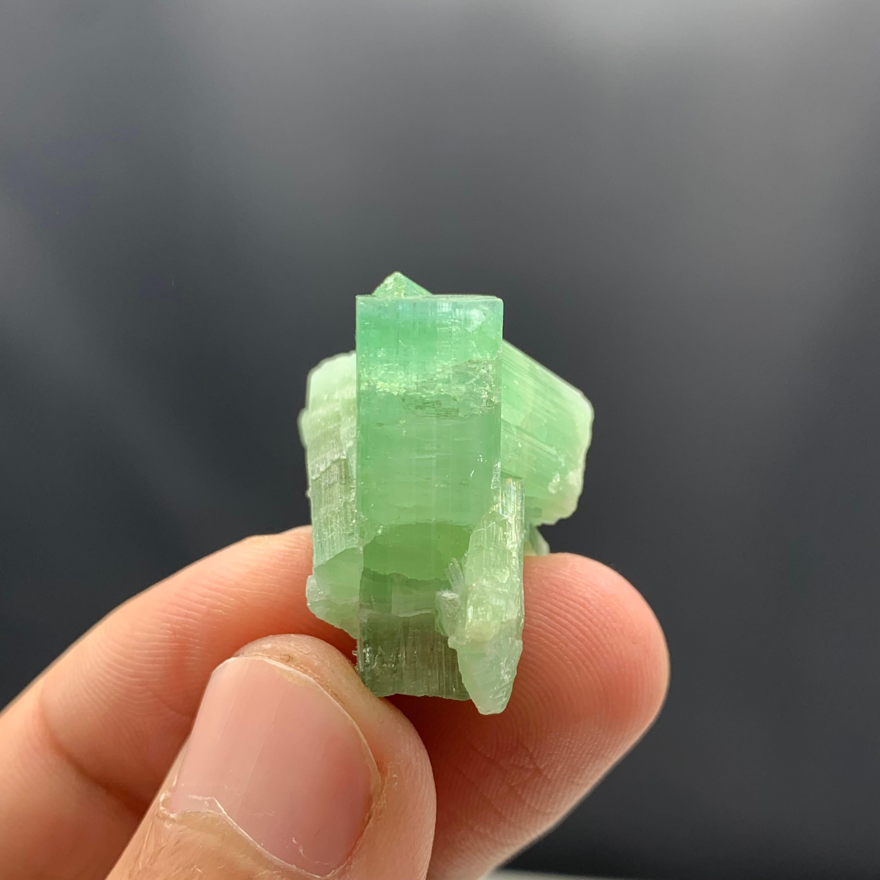 11.22 Gram Green Tourmaline Crystal Cluster From Kunar, Afghanistan  For Sale 1