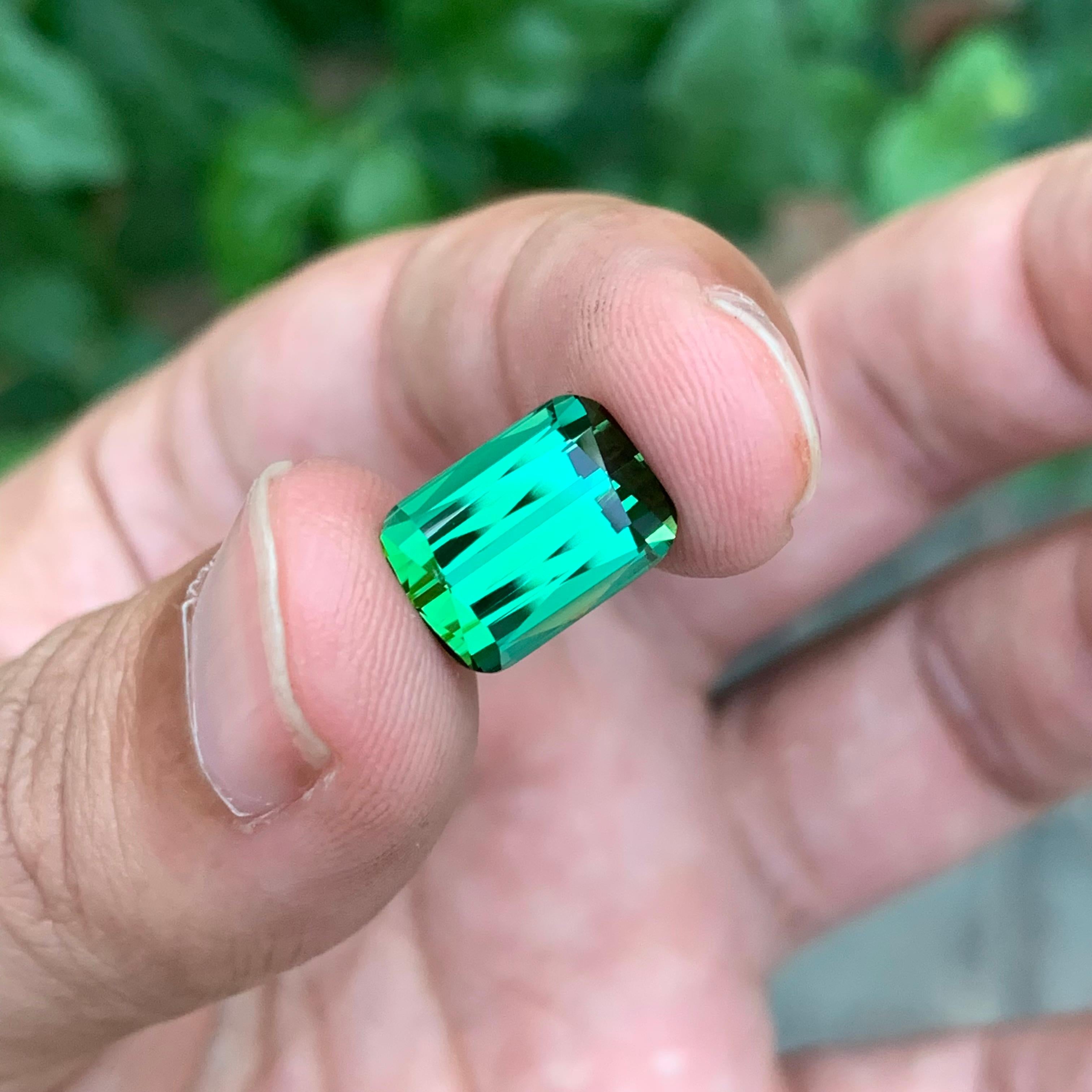 11.25 Carat Marvellous Natural Loose Green Tourmaline Cushion Shape Gemstone For Sale 4