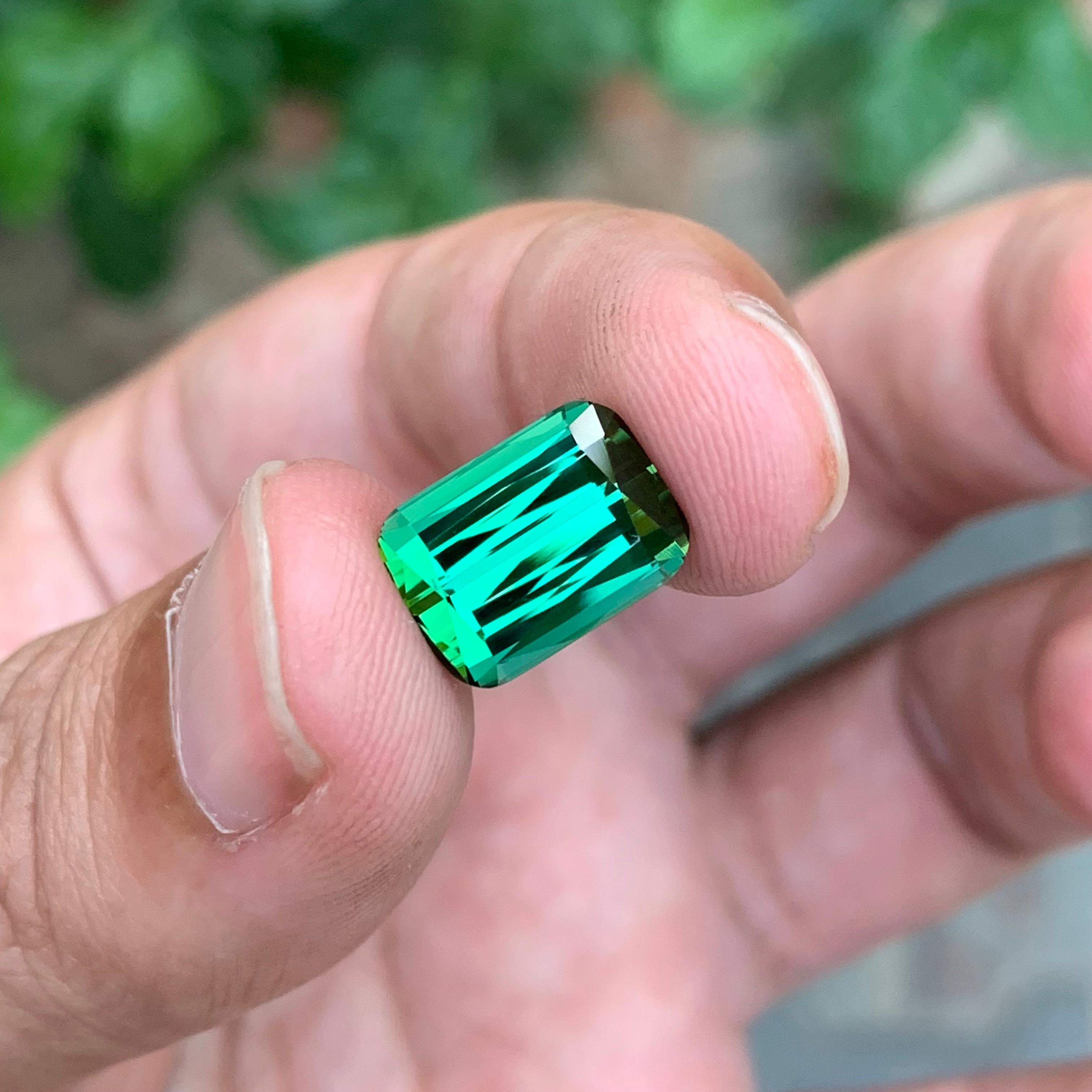 11.25 Carat Marvellous Natural Loose Green Tourmaline Cushion Shape Gemstone For Sale 5