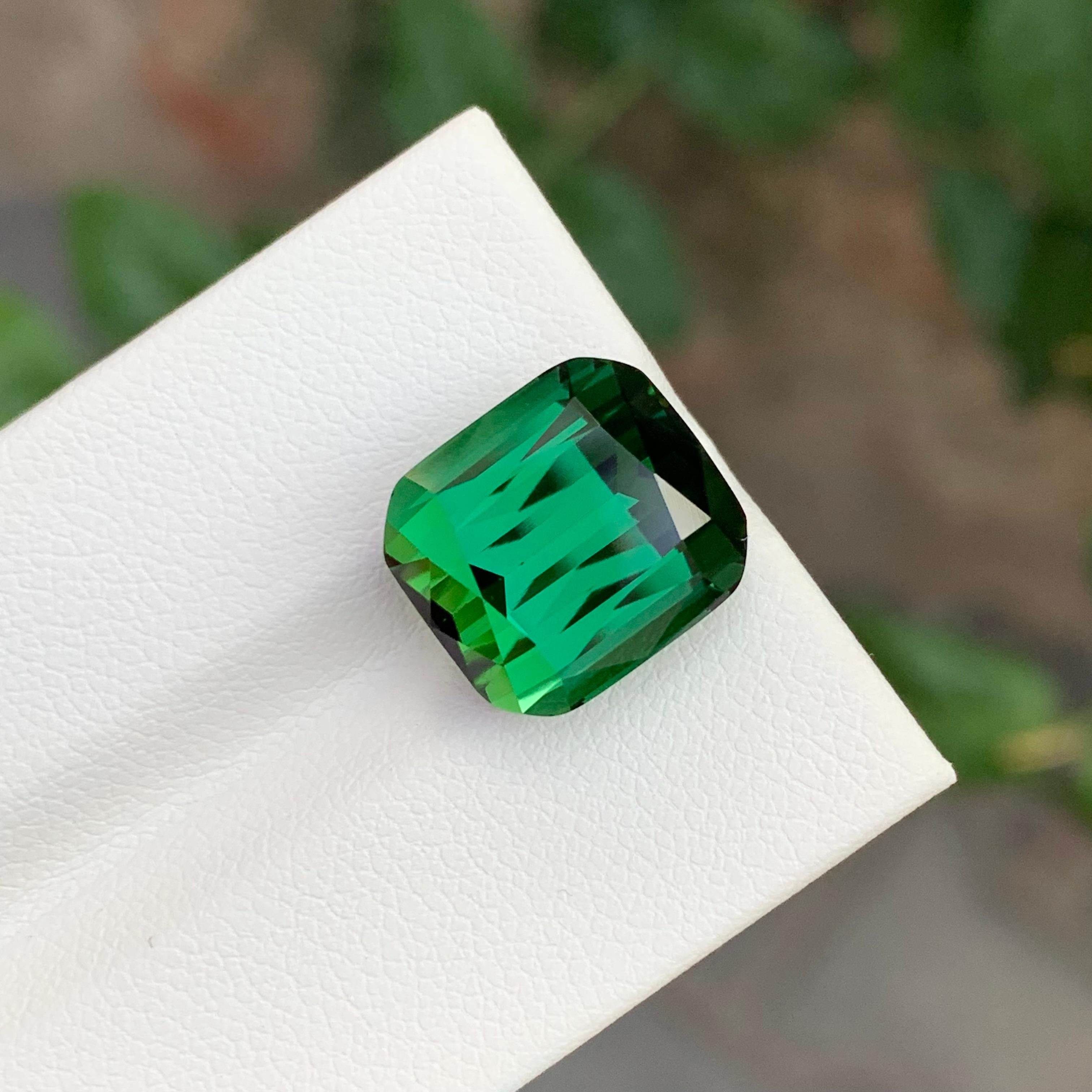 Women's or Men's 11.25 Carat Marvellous Natural Loose Green Tourmaline Cushion Shape Gemstone For Sale