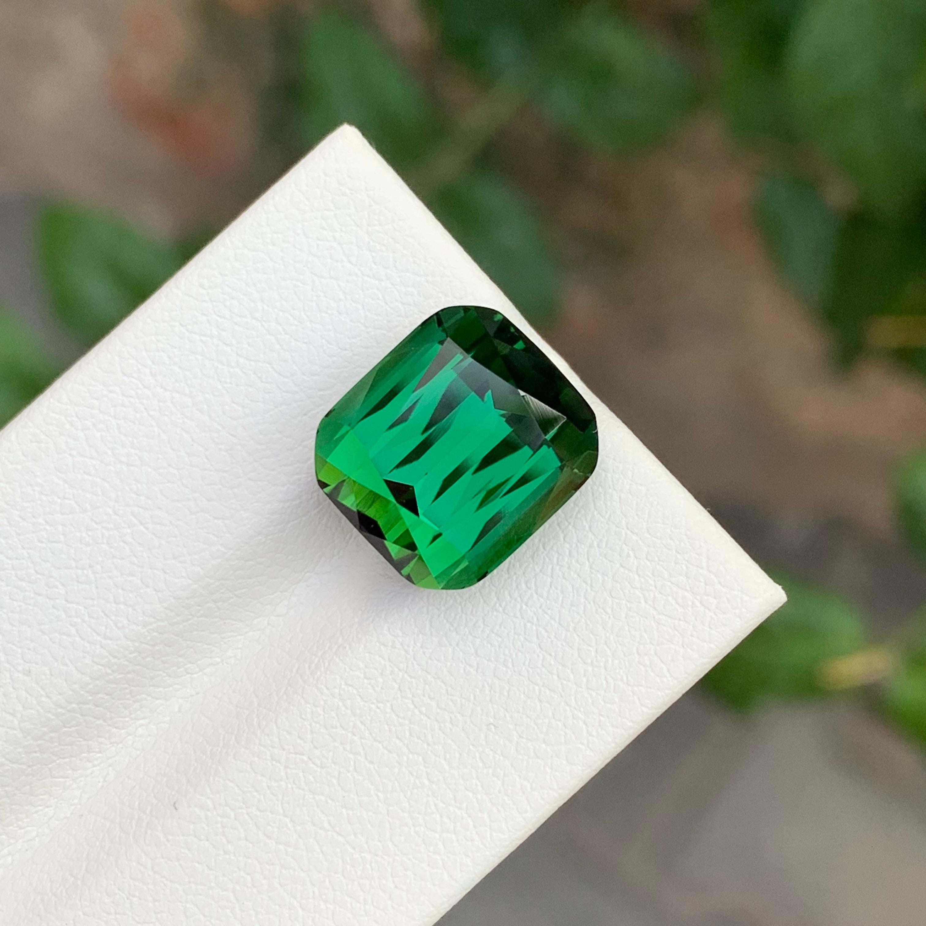 11.25 Carat Marvellous Natural Loose Green Tourmaline Cushion Shape Gemstone For Sale 1