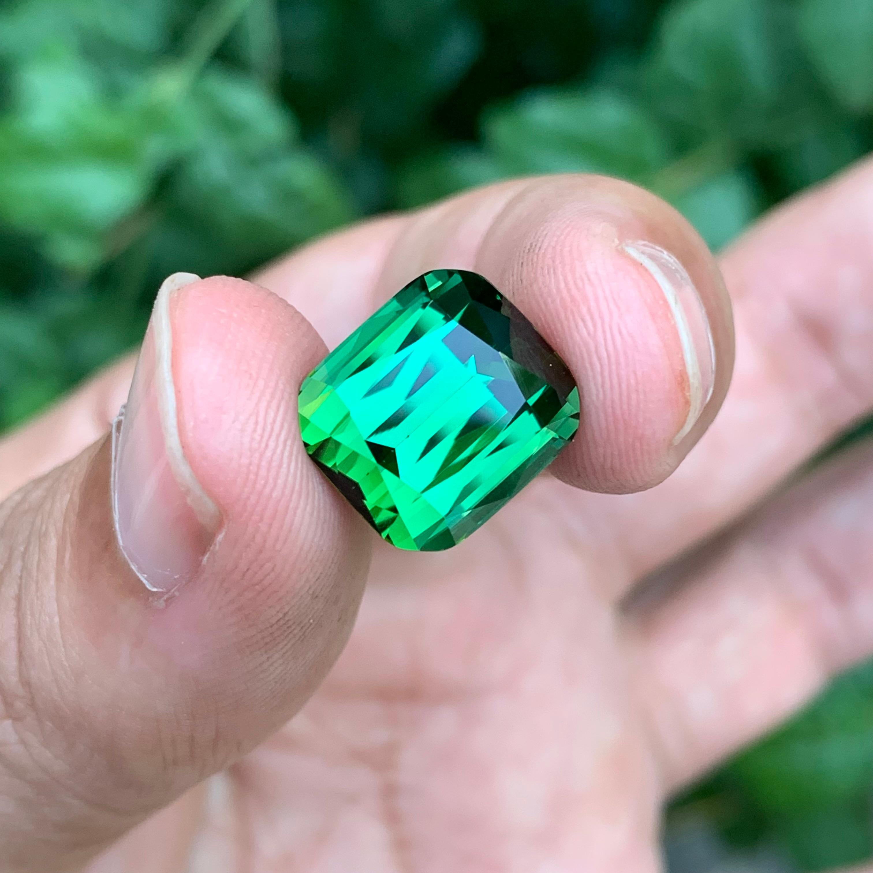 11.25 Carat Marvellous Natural Loose Green Tourmaline Cushion Shape Gemstone For Sale 2