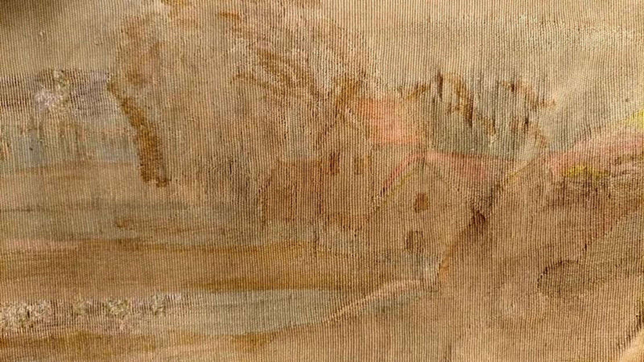 1128, 19. Jahrhundert, Aubusson-Wandteppich im Angebot 3