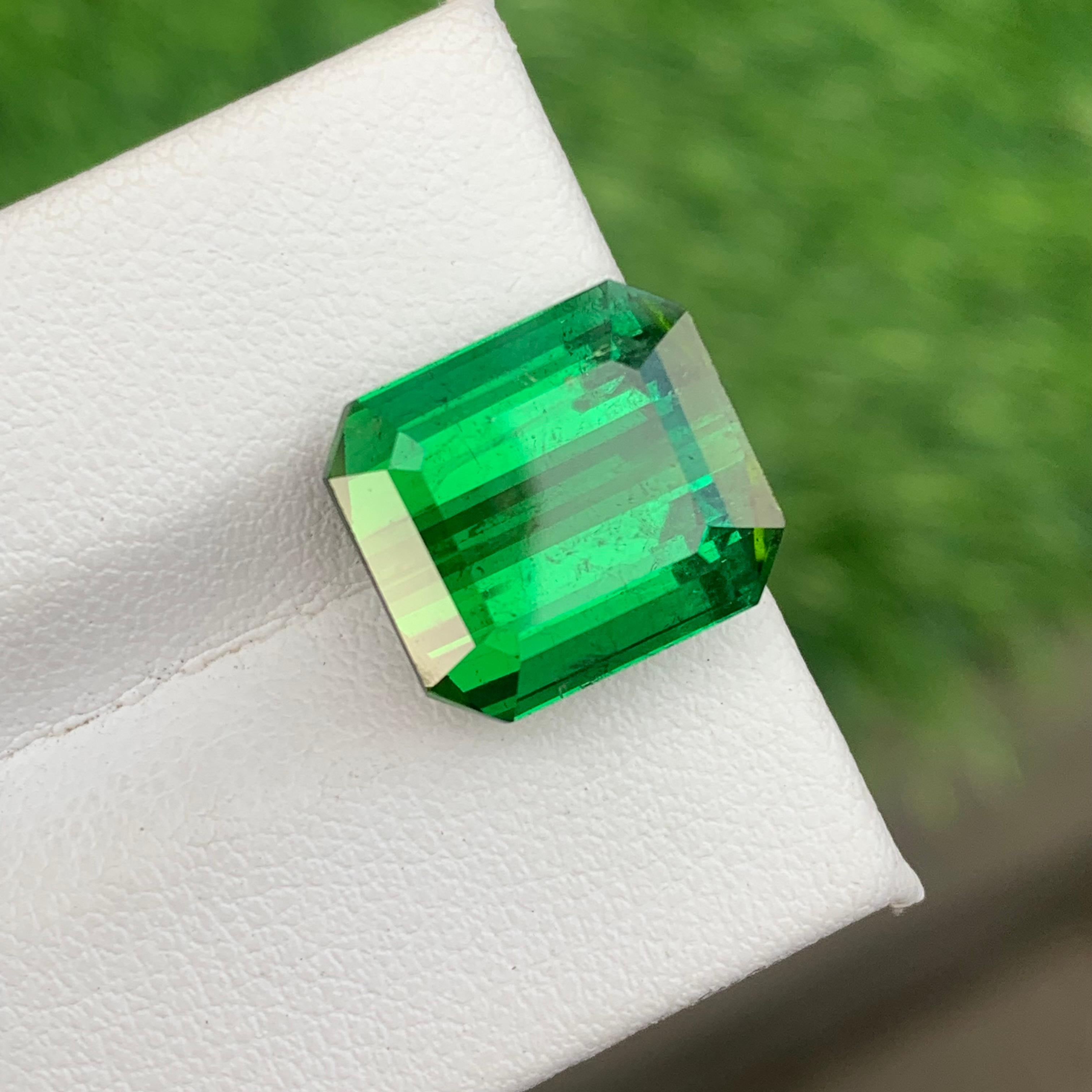 11.30 Carat Lustrous Rich Green Color Faceted Tourmaline SI Clarity For Sale 5