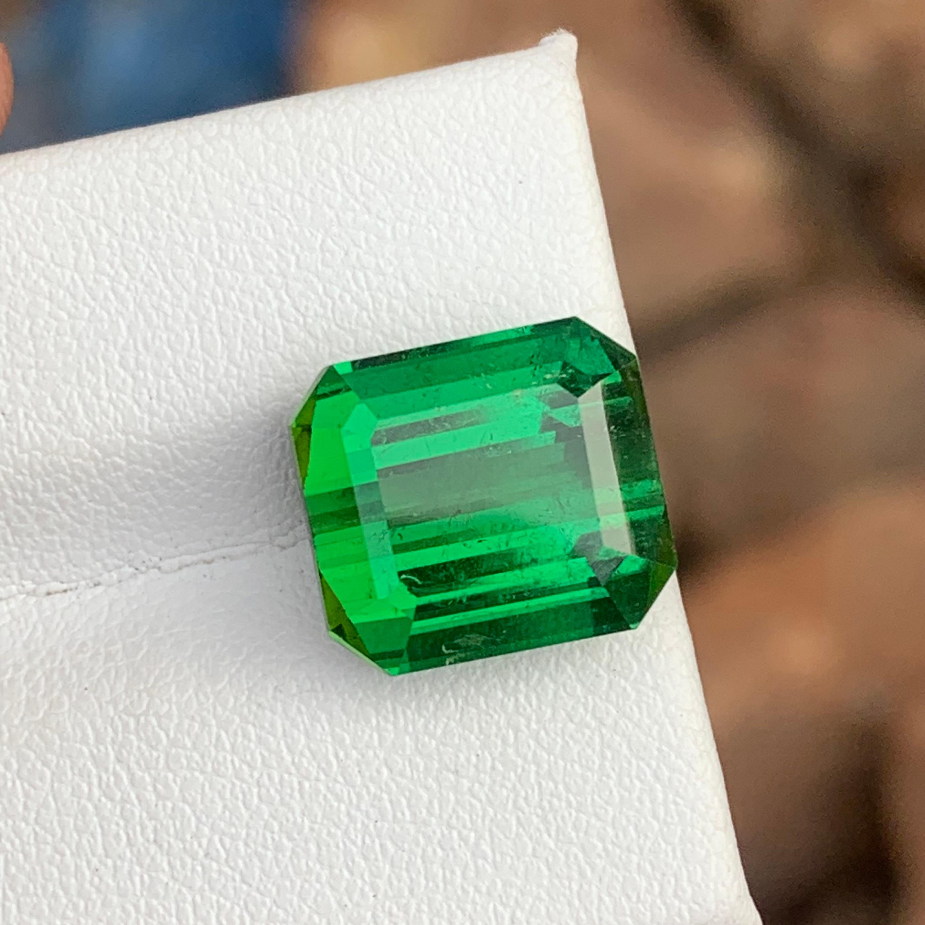 Emerald Cut 11.30 Carat Lustrous Rich Green Color Faceted Tourmaline SI Clarity For Sale
