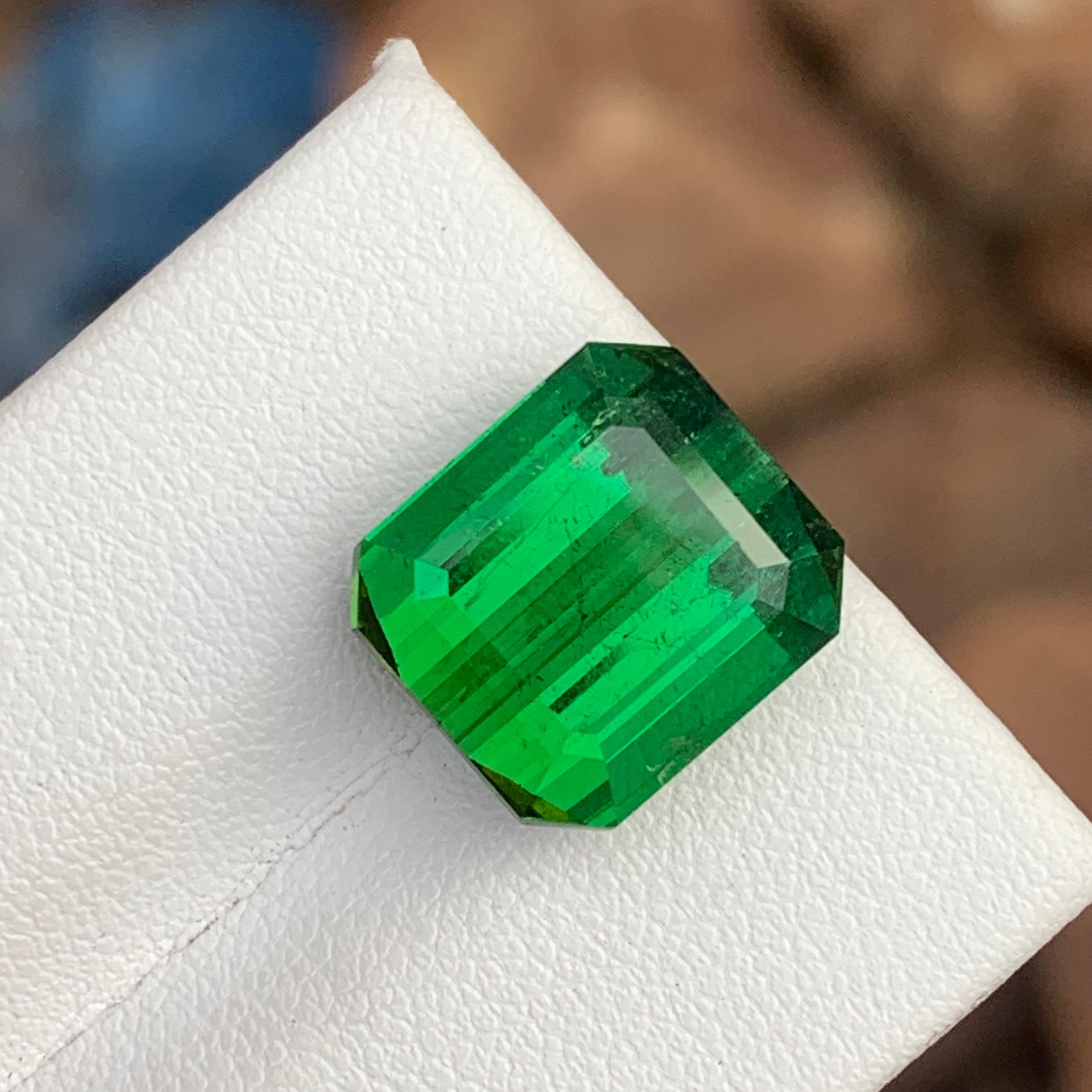 11.30 Carat Lustrous Rich Green Color Faceted Tourmaline SI Clarity In New Condition For Sale In Peshawar, PK