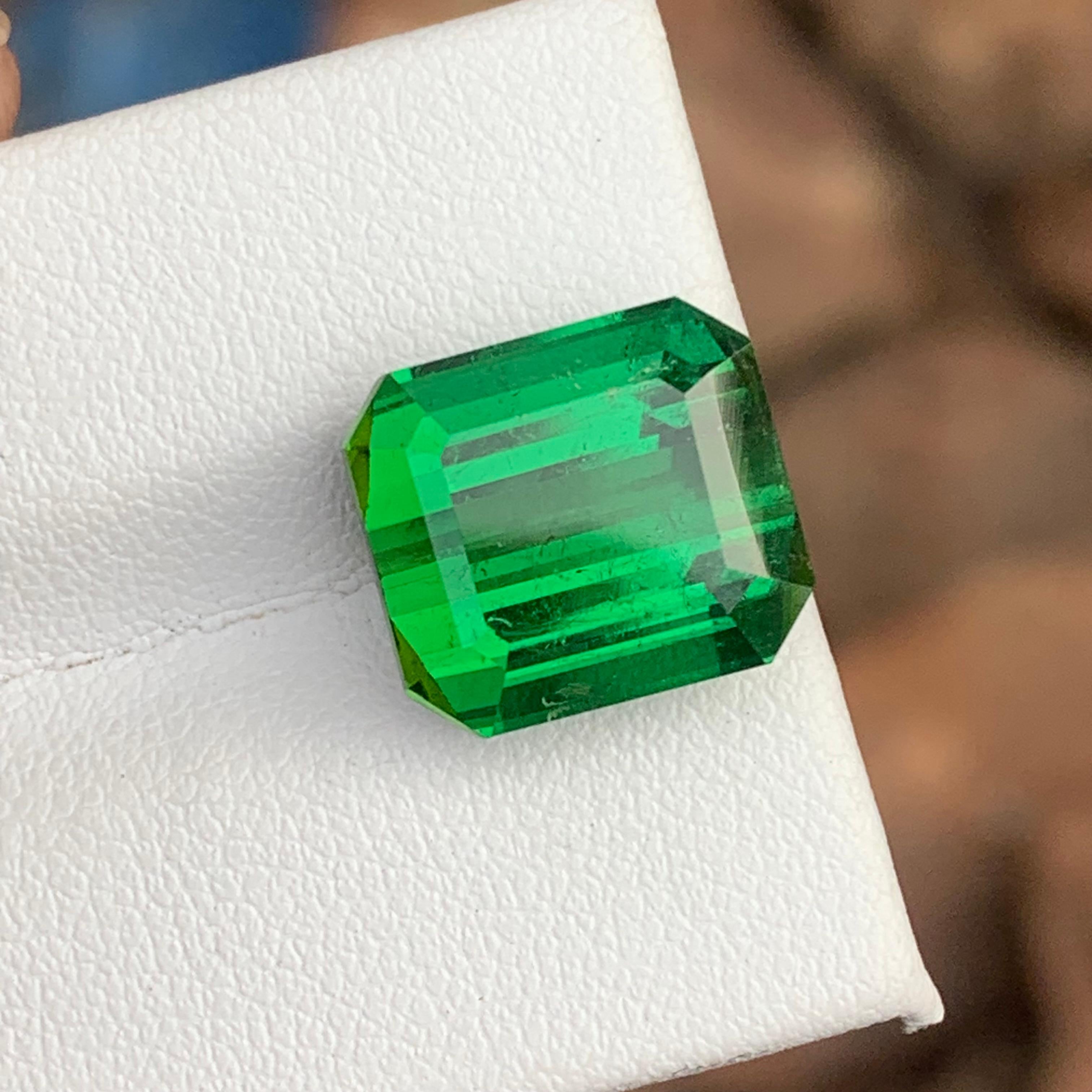 11.30 Carat Lustrous Rich Green Color Faceted Tourmaline SI Clarity For Sale 1